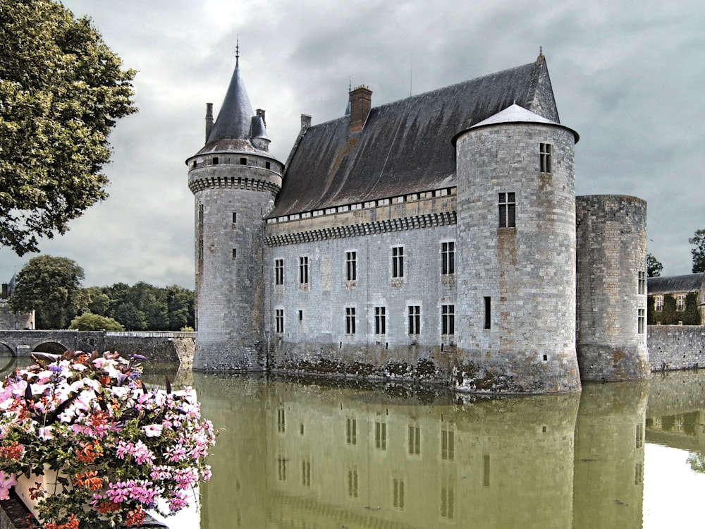 a castle with a pond in front of it