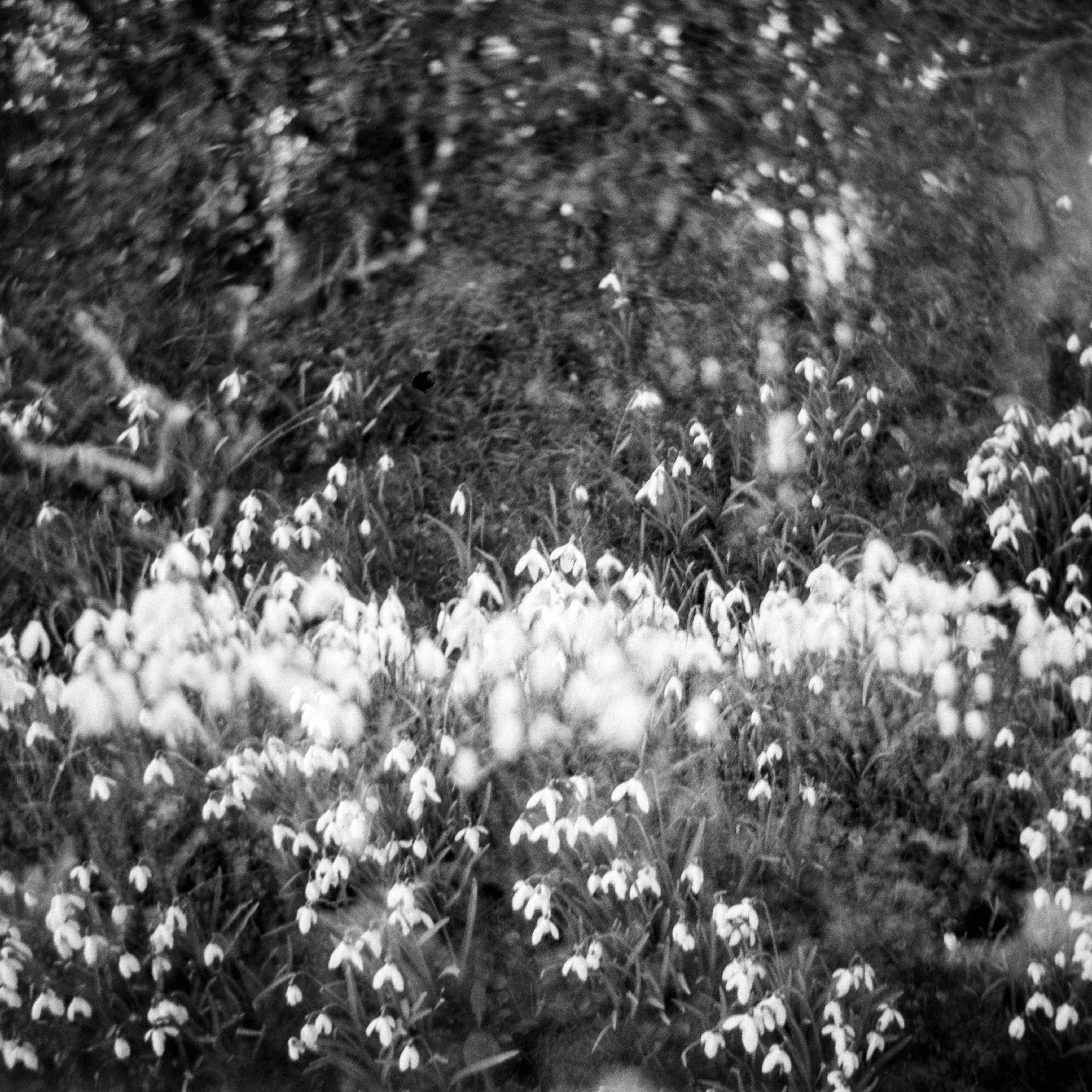 Photo by anniespratt