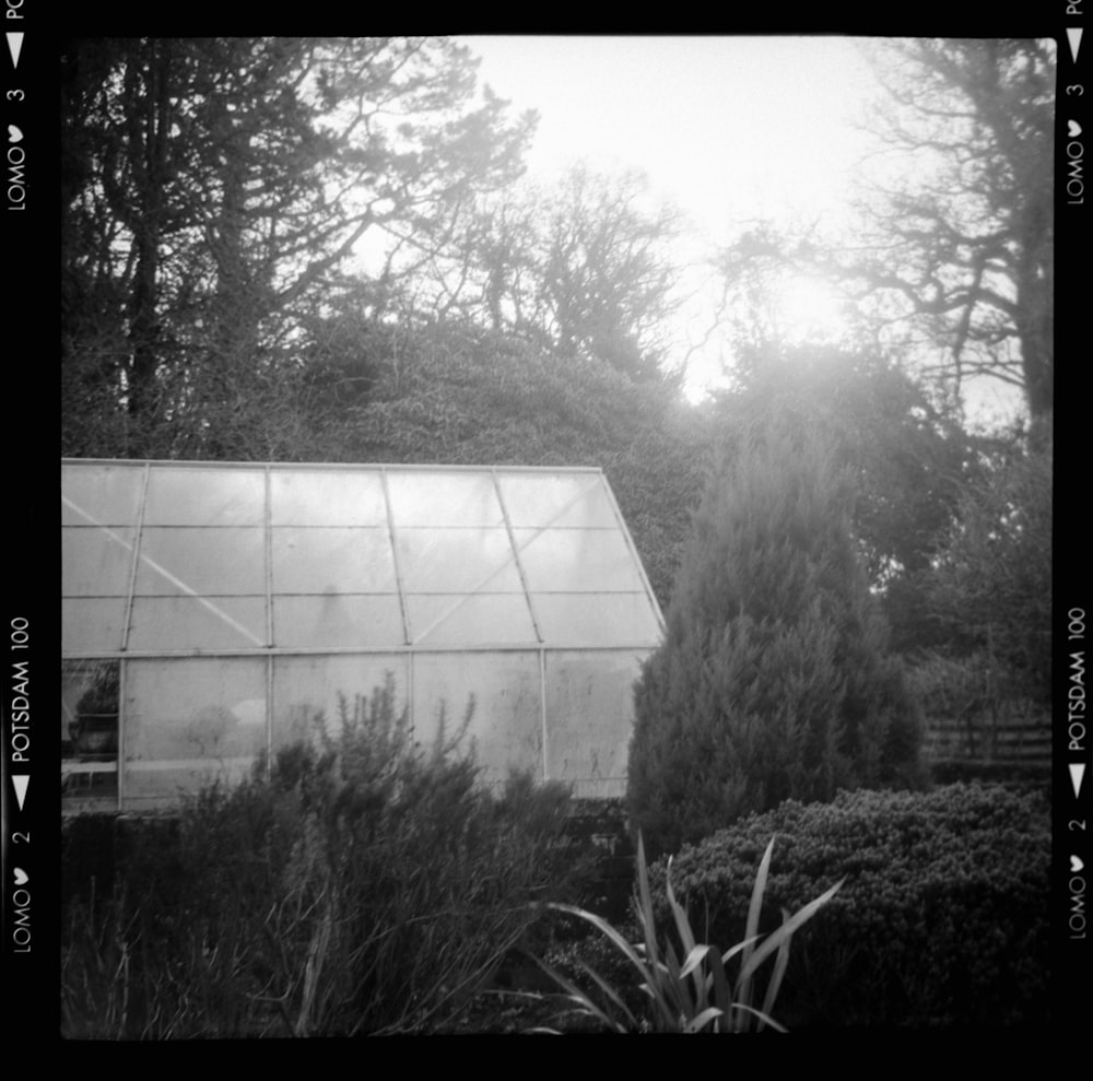 a black and white photo of a glass house