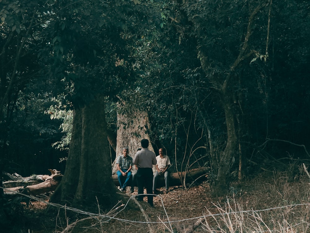 Un grupo de personas sentadas en un tronco en el bosque