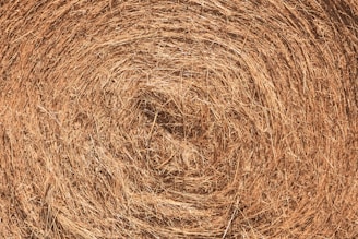 a close up view of a round hay bale