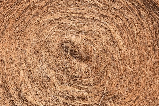 a close up view of a round hay bale