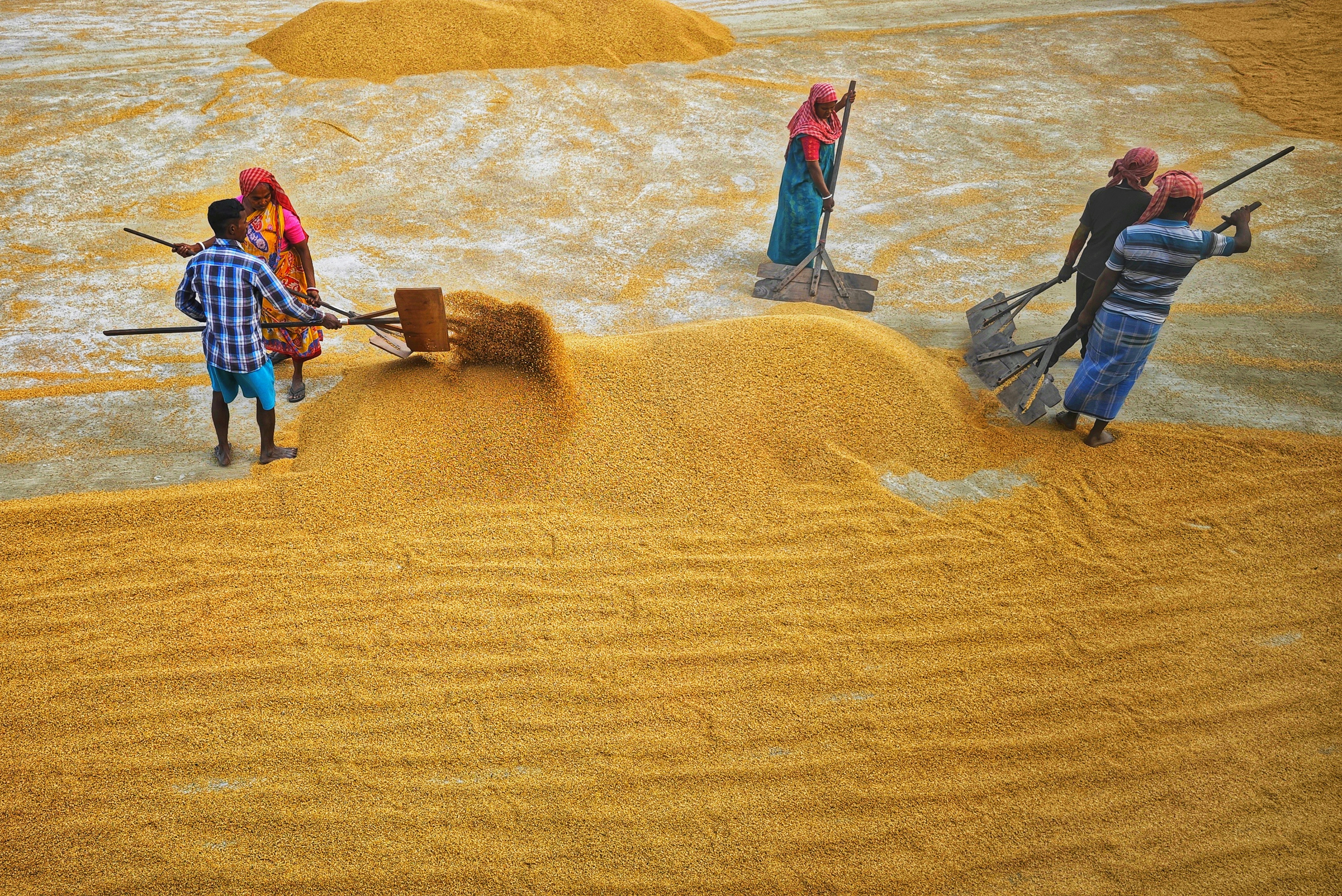 Photo by dibakar16roy