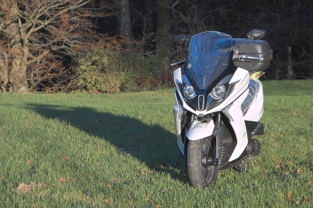 ein weiß-blaues Motorrad, das im Gras geparkt ist