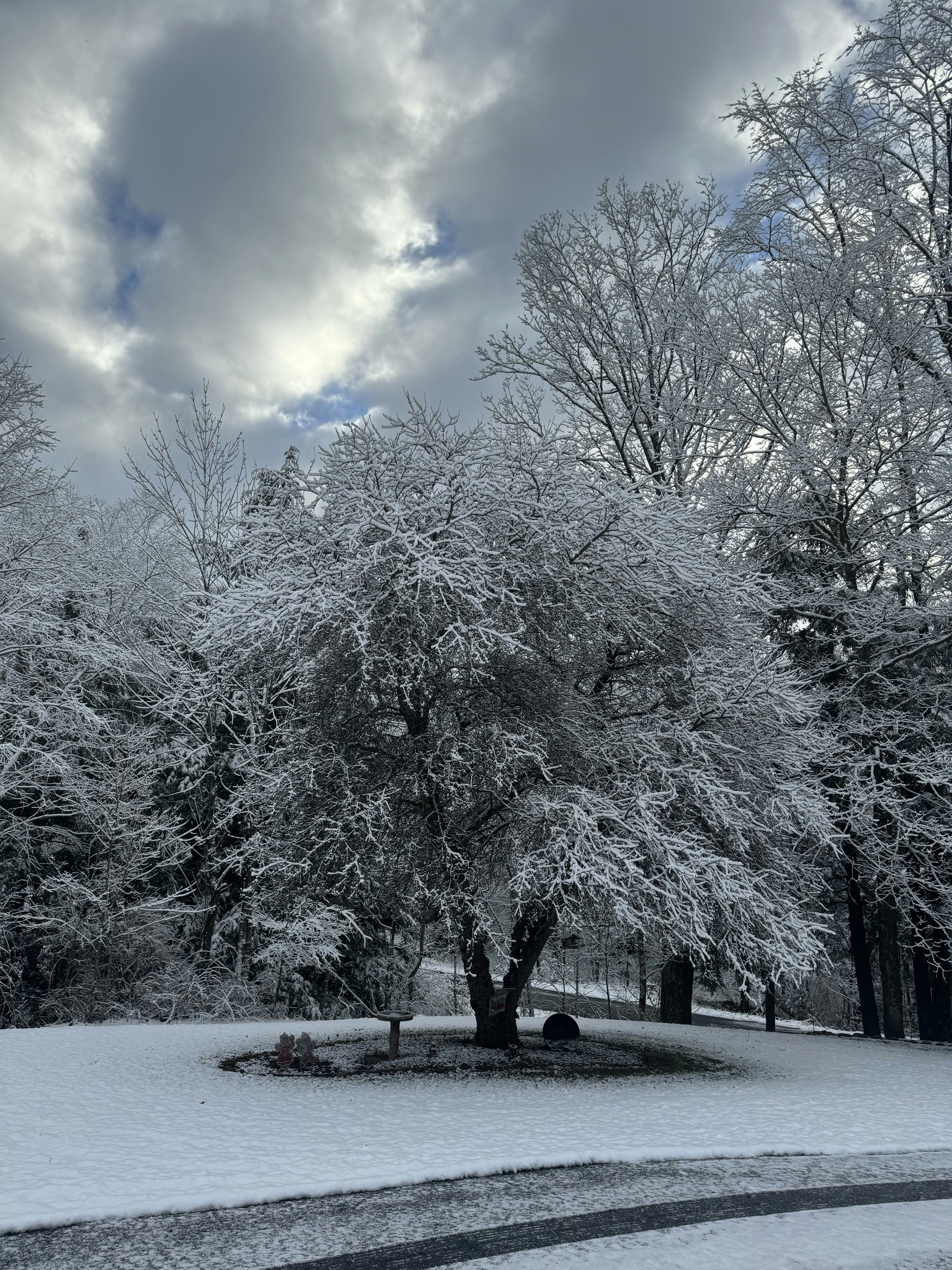 Un parque cubierto de nieve con árboles y bancos