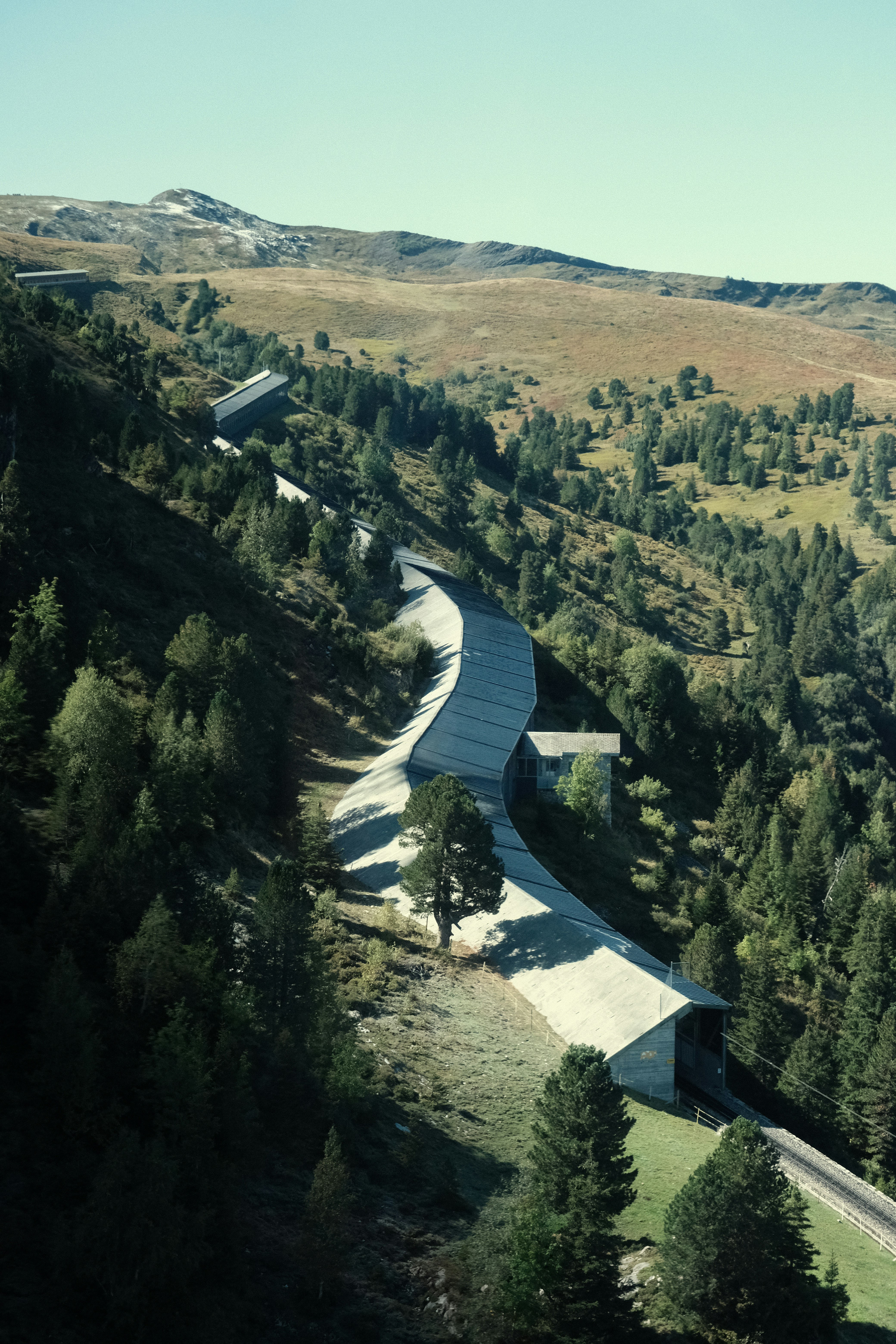 a winding road in the middle of a forest