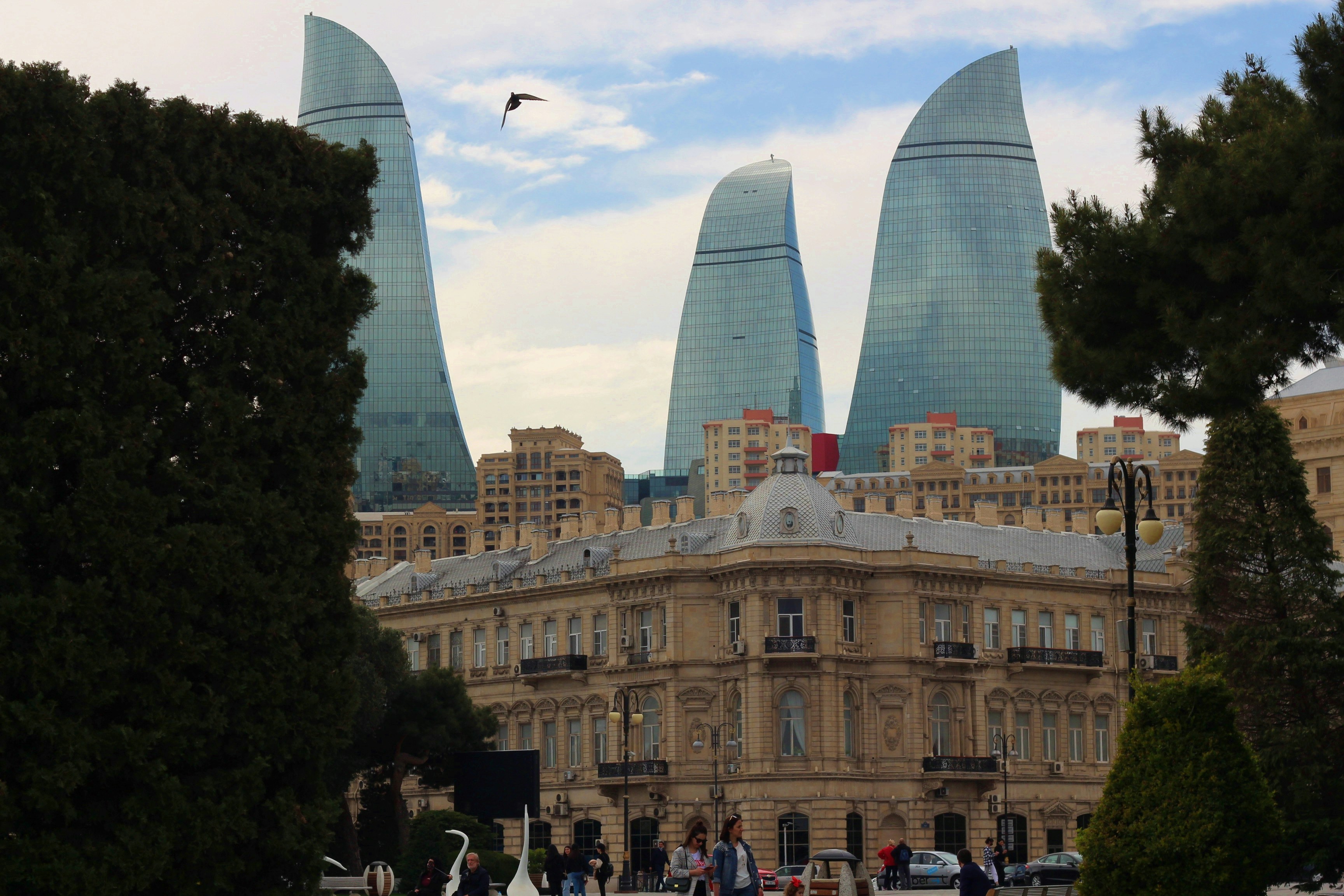 Photo by thesilvafocus