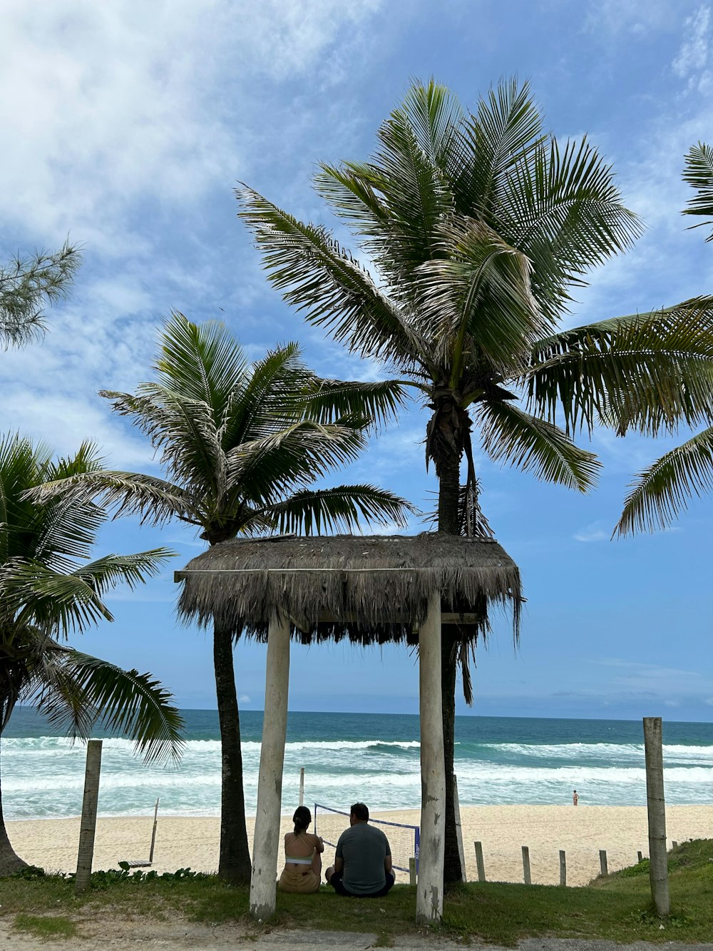 two people sitting on a bench under a palm tree