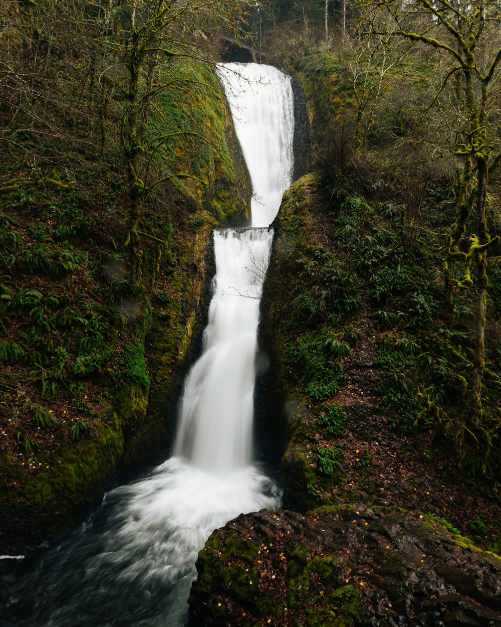 a waterfall in the middle of a forest