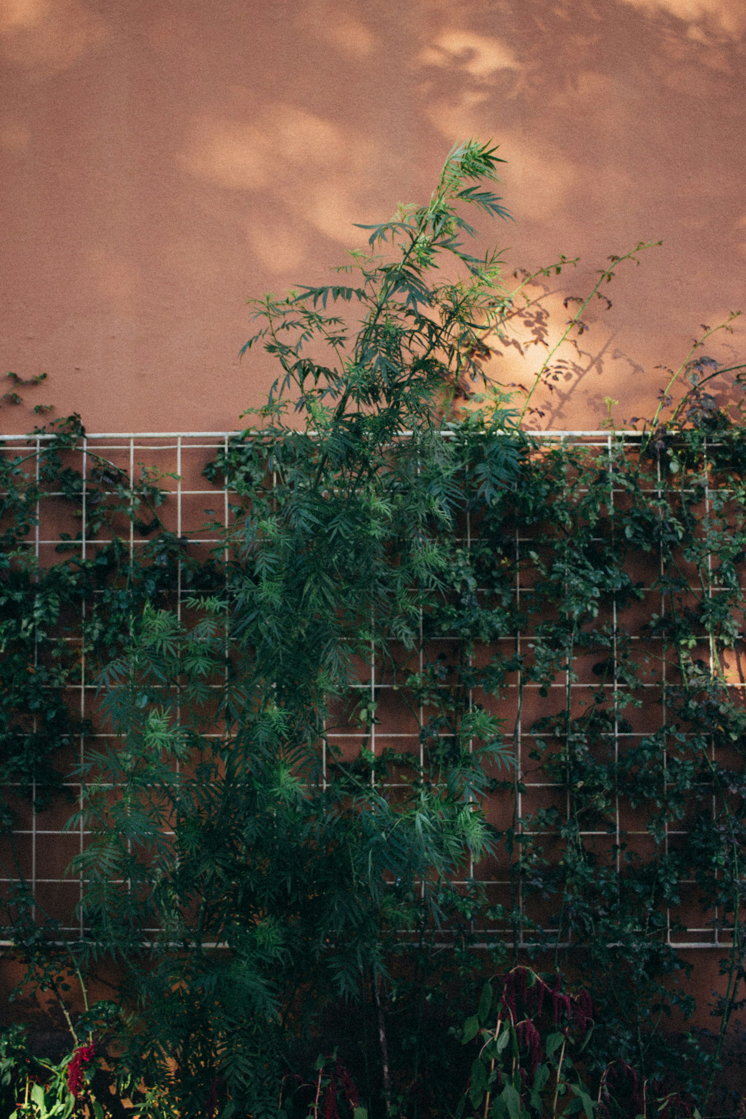 Photo by gloriaviktoriia