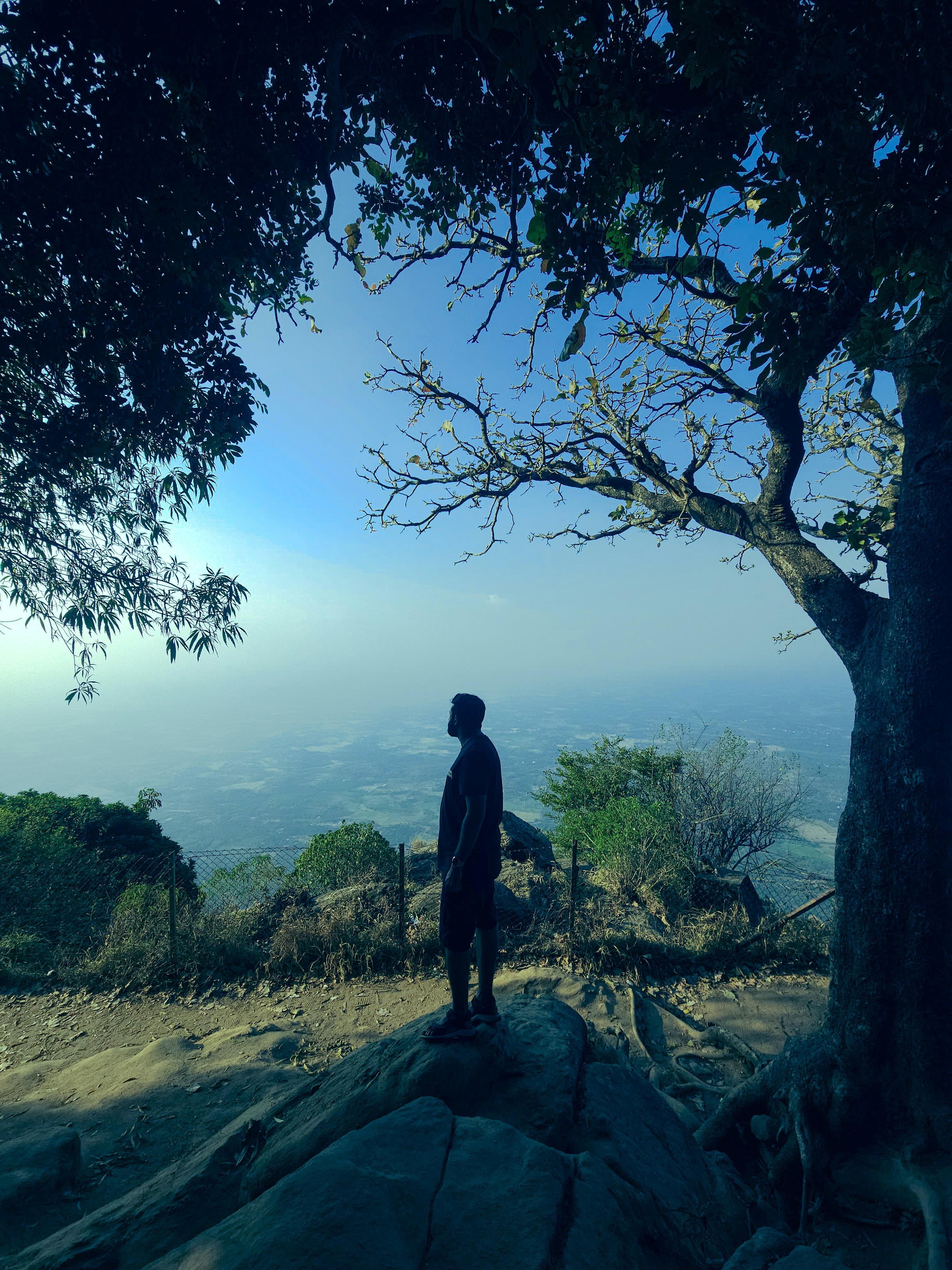 Nelliampathi Landscape 7