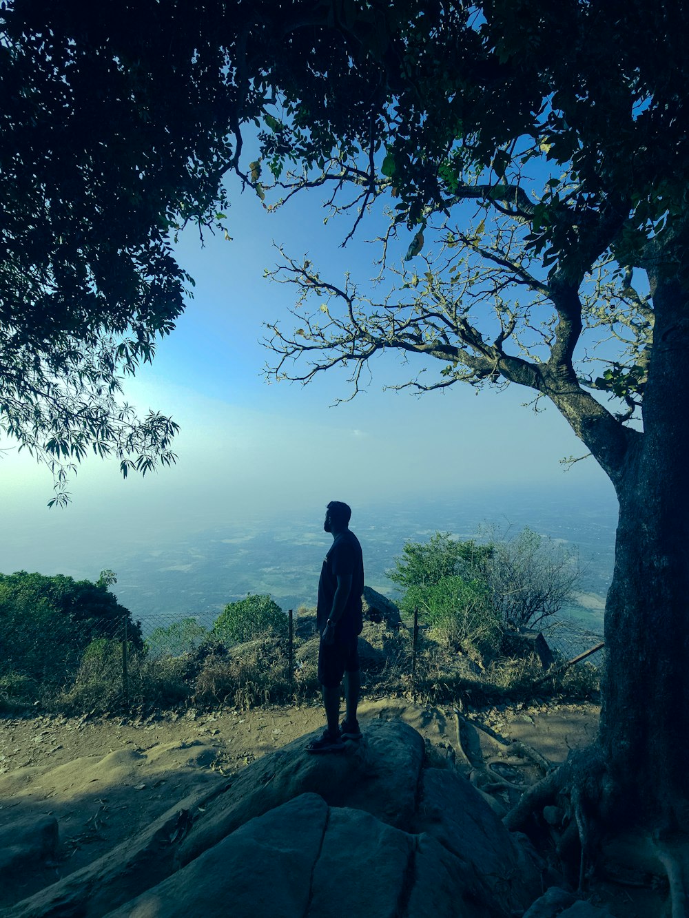 a man standing on top of a rock next to a tree