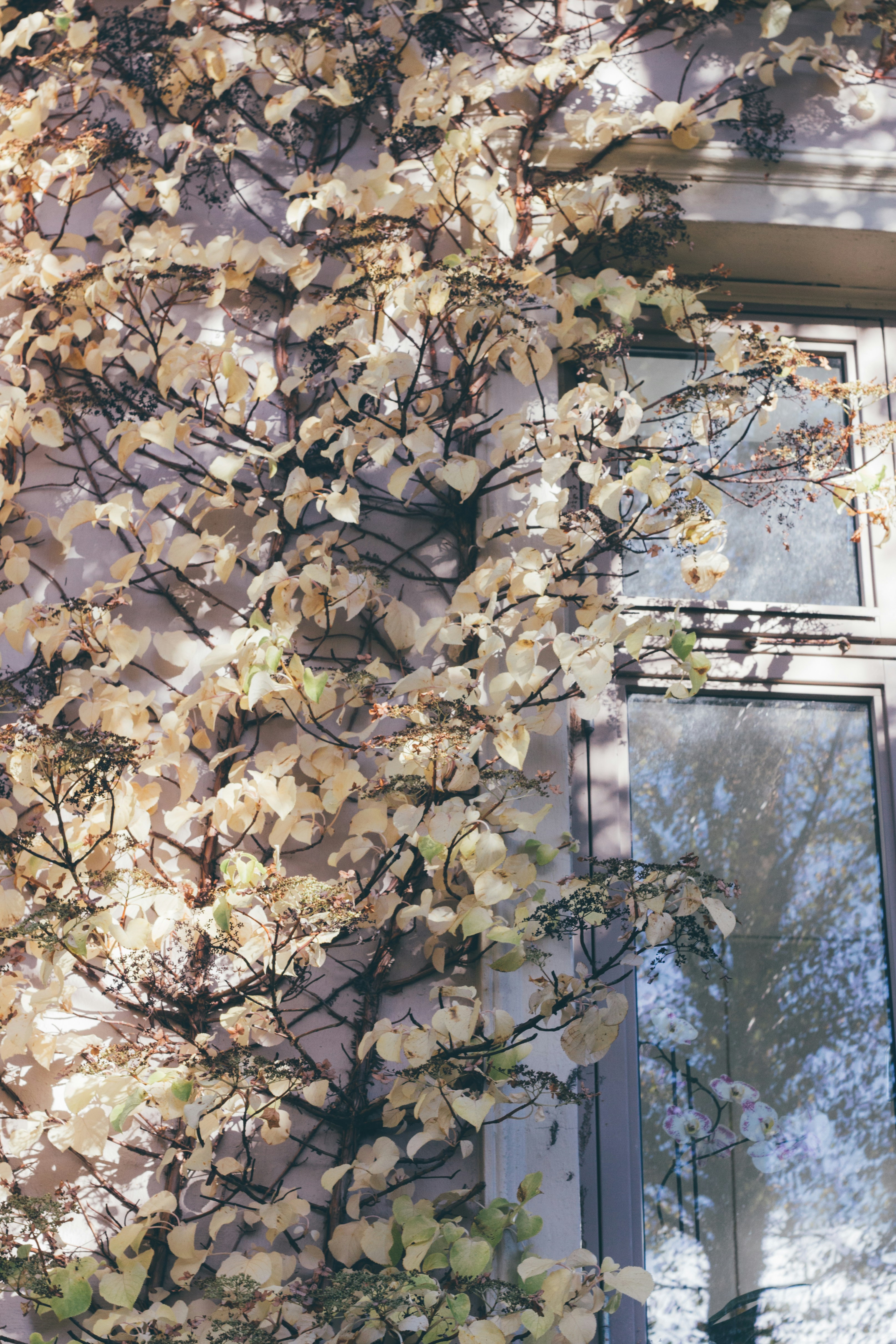 Photo by gloriaviktoriia