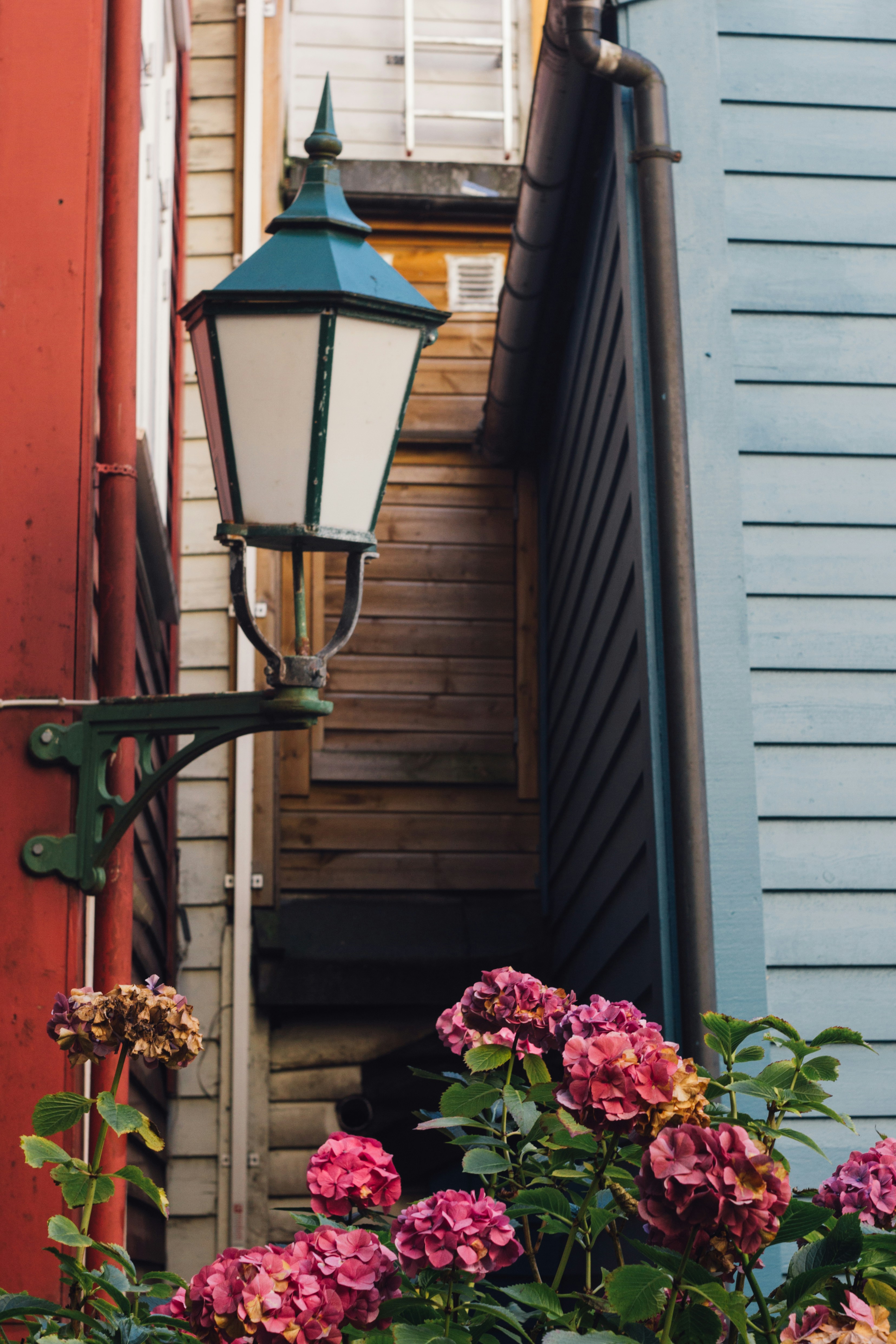 Photo by gloriaviktoriia