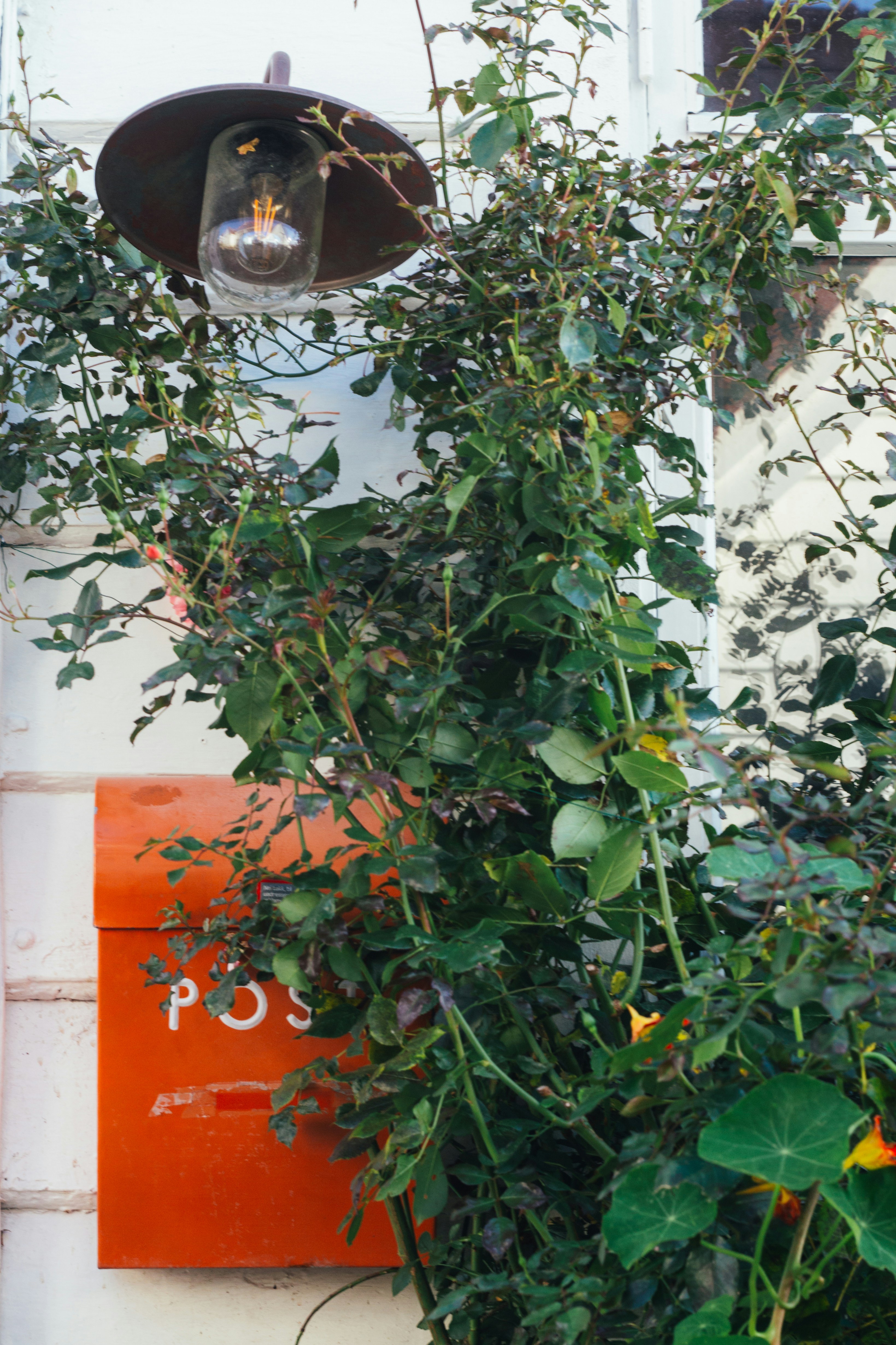 Photo by gloriaviktoriia