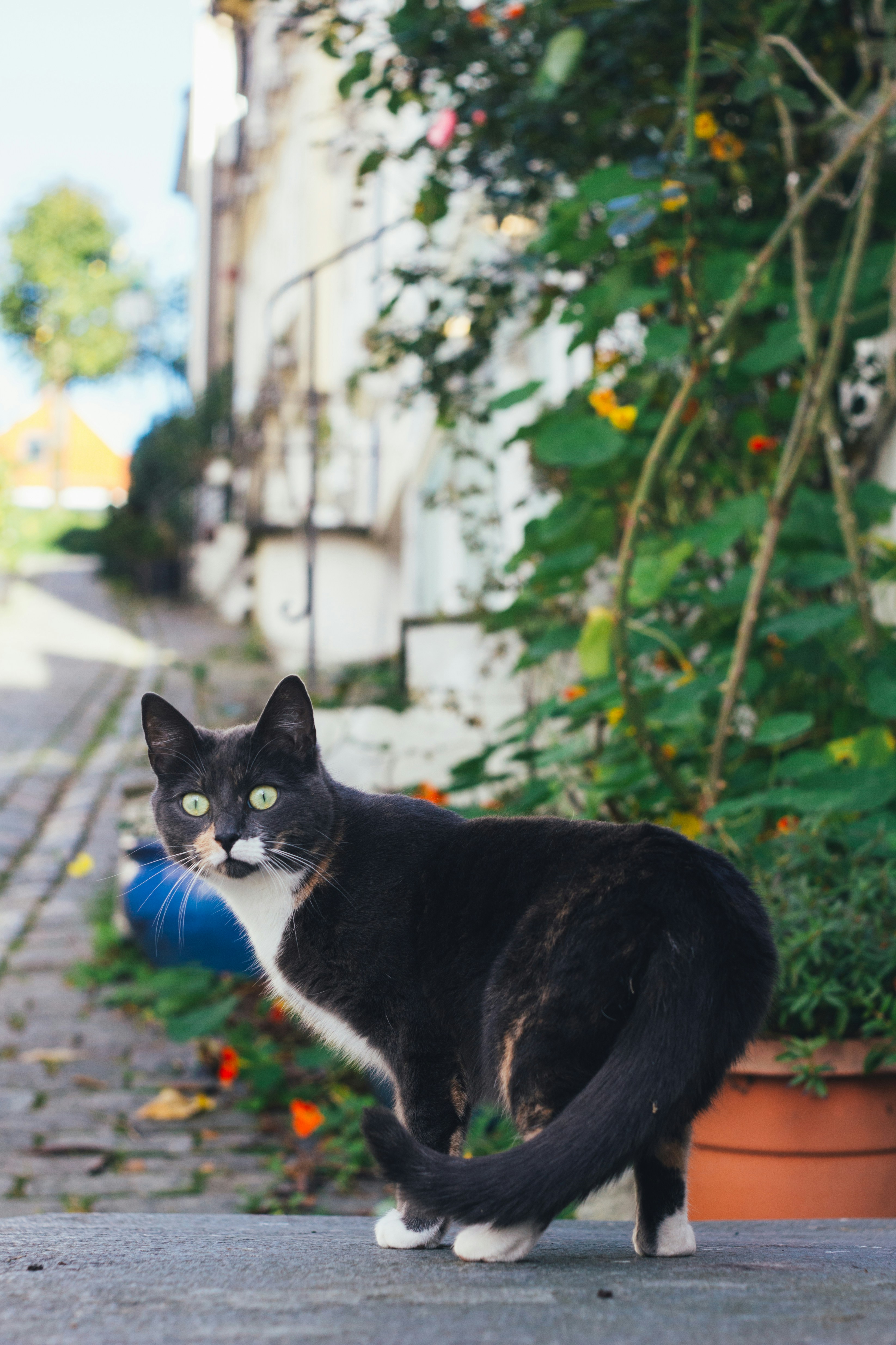 Photo by gloriaviktoriia