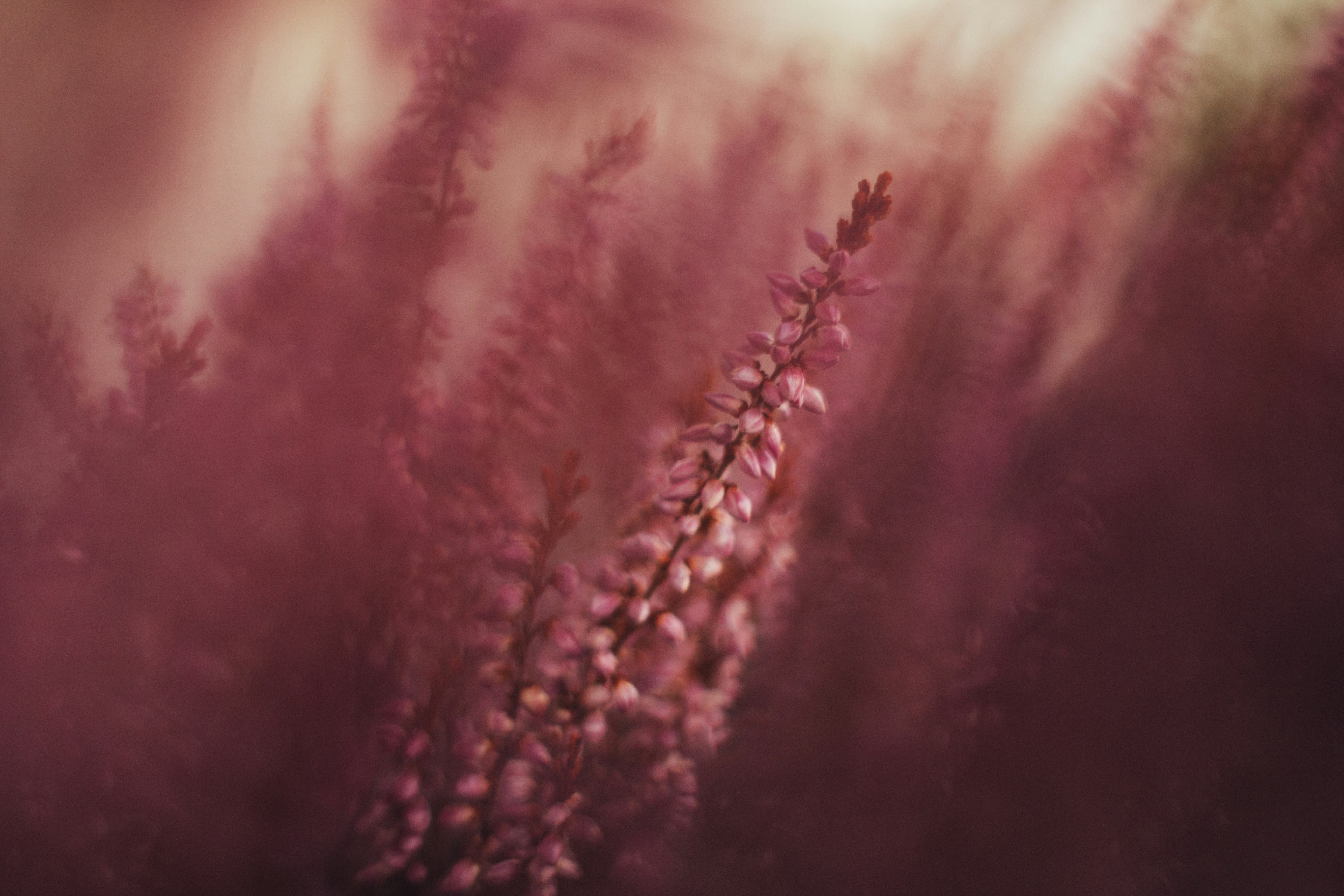 Photo by gloriaviktoriia