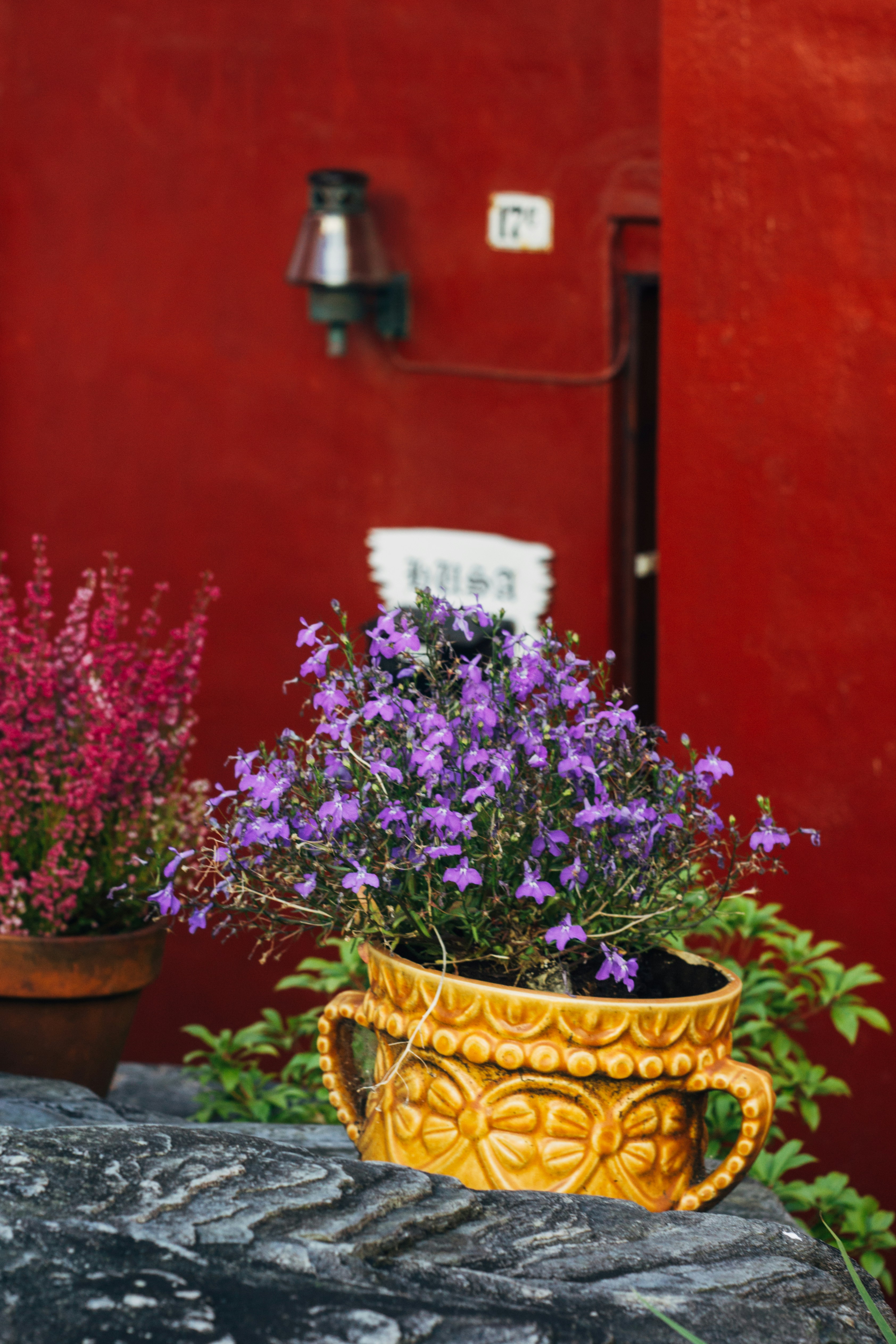 Photo by gloriaviktoriia