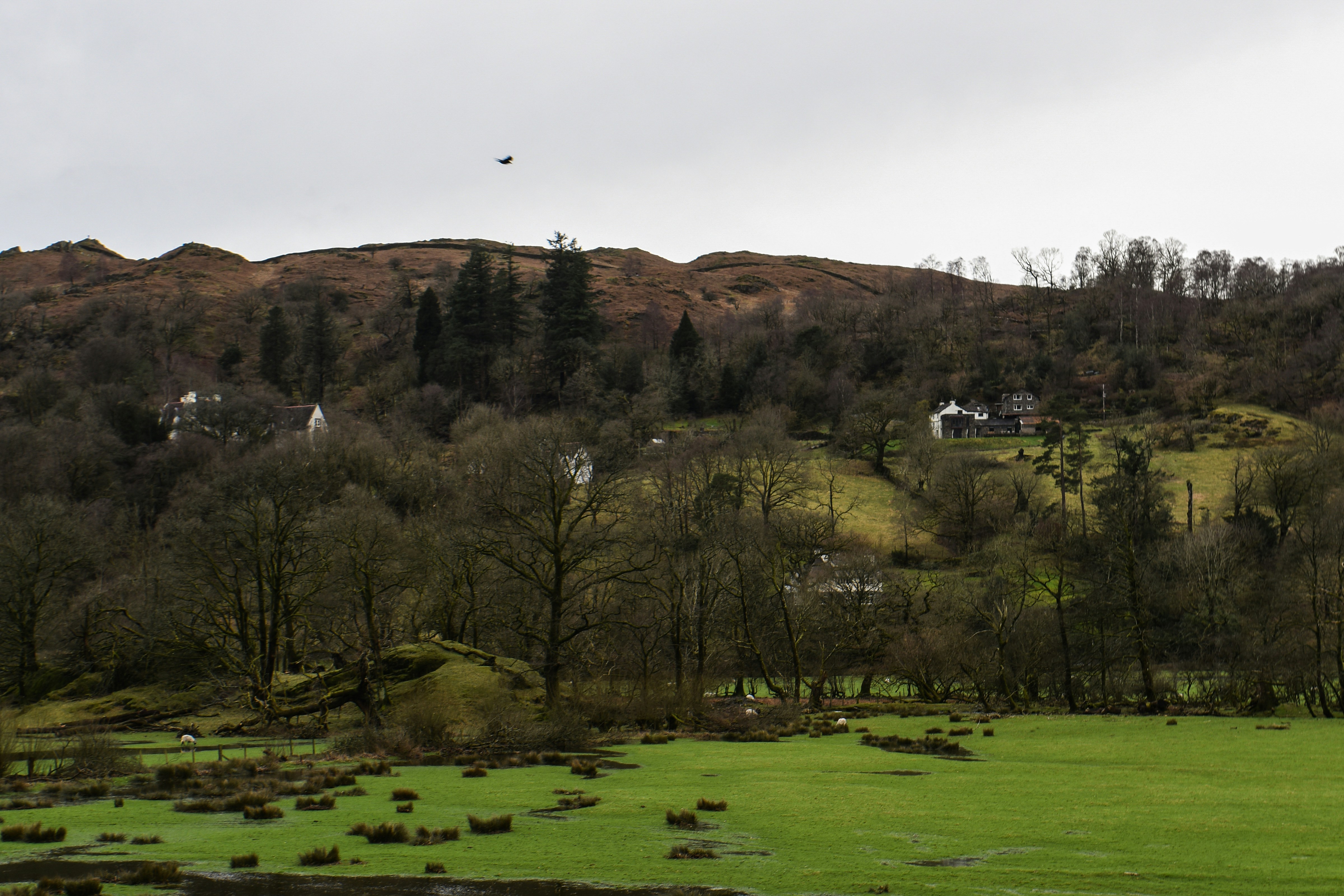 Photo by julia_fiander