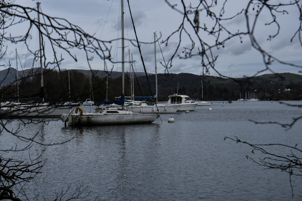 a group of boats floating on top of a lake