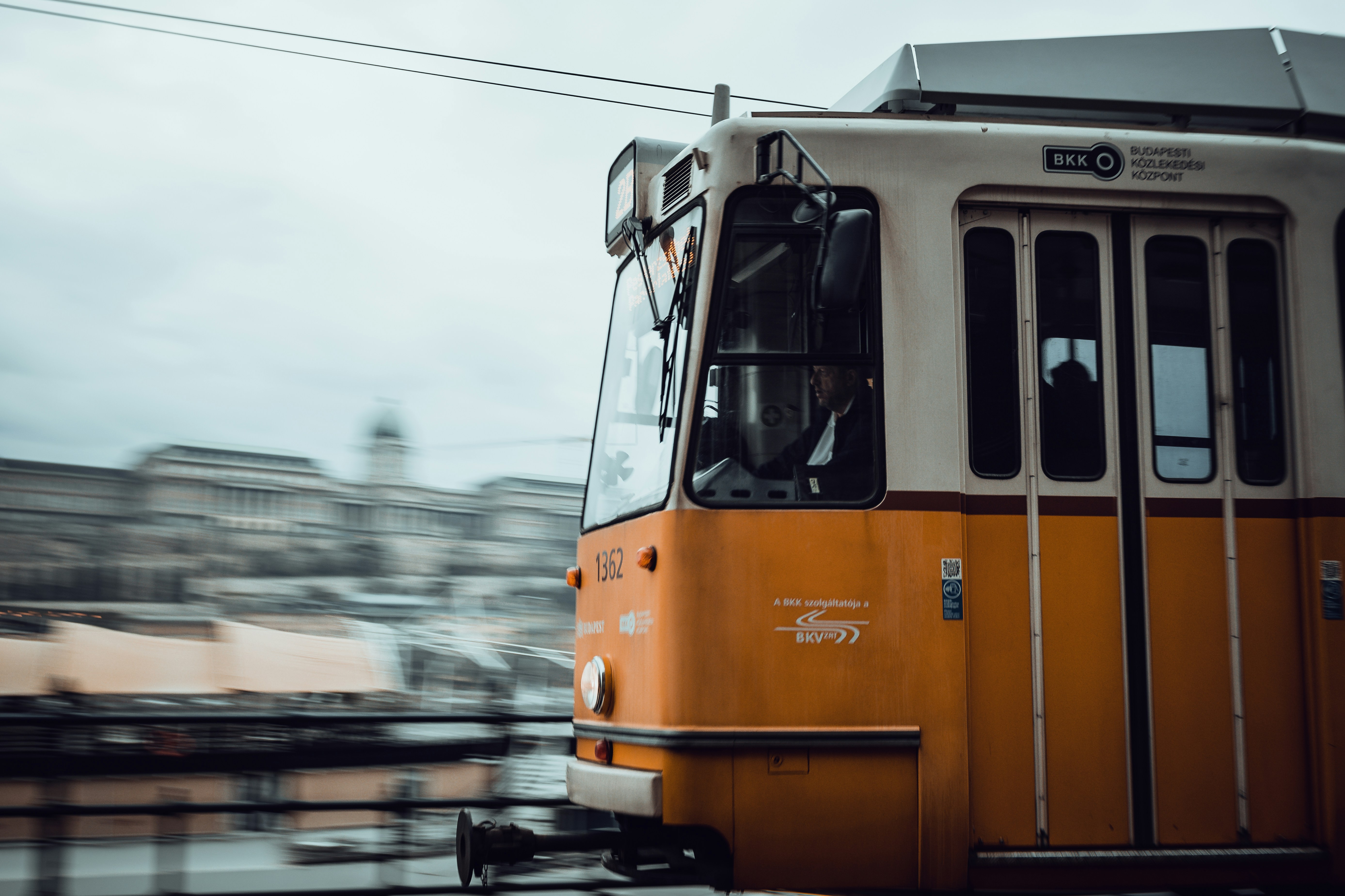 Photo by gonchifacello