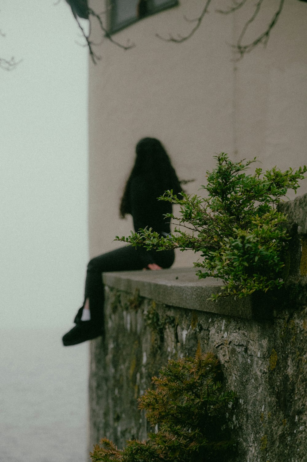 a woman sitting on a ledge with a tree in front of her