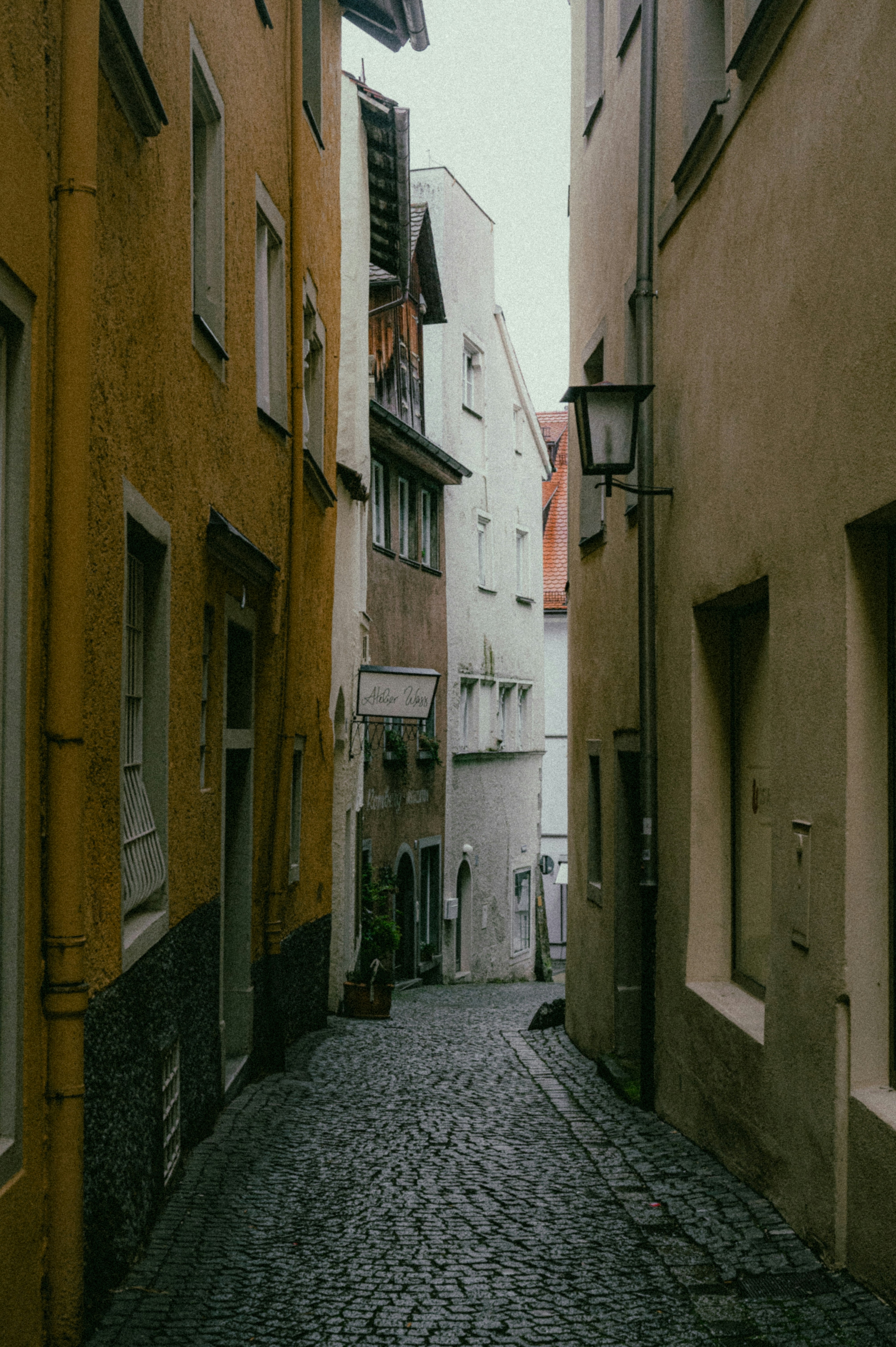 Photo by luca_severin