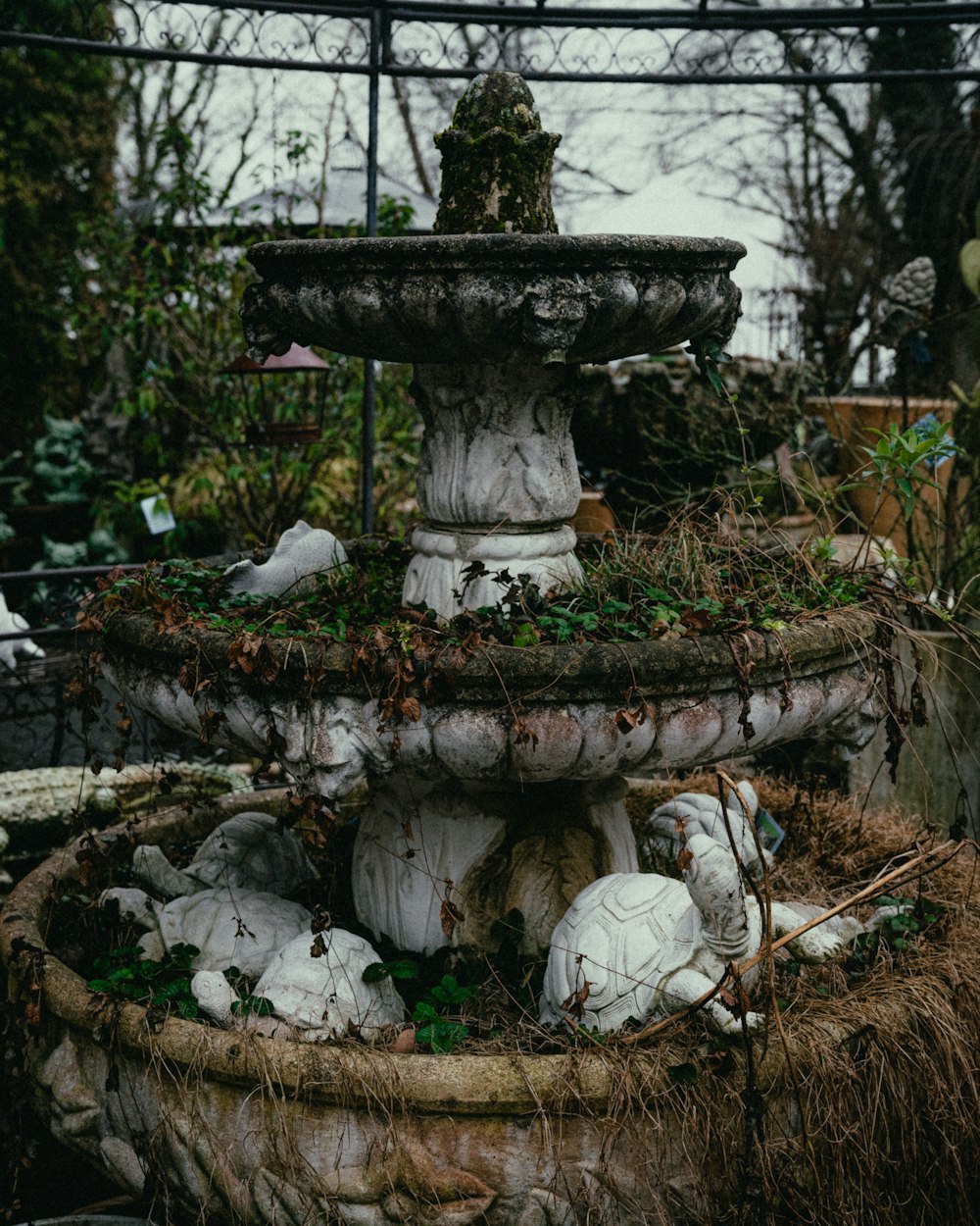 a bird bath in the middle of a garden