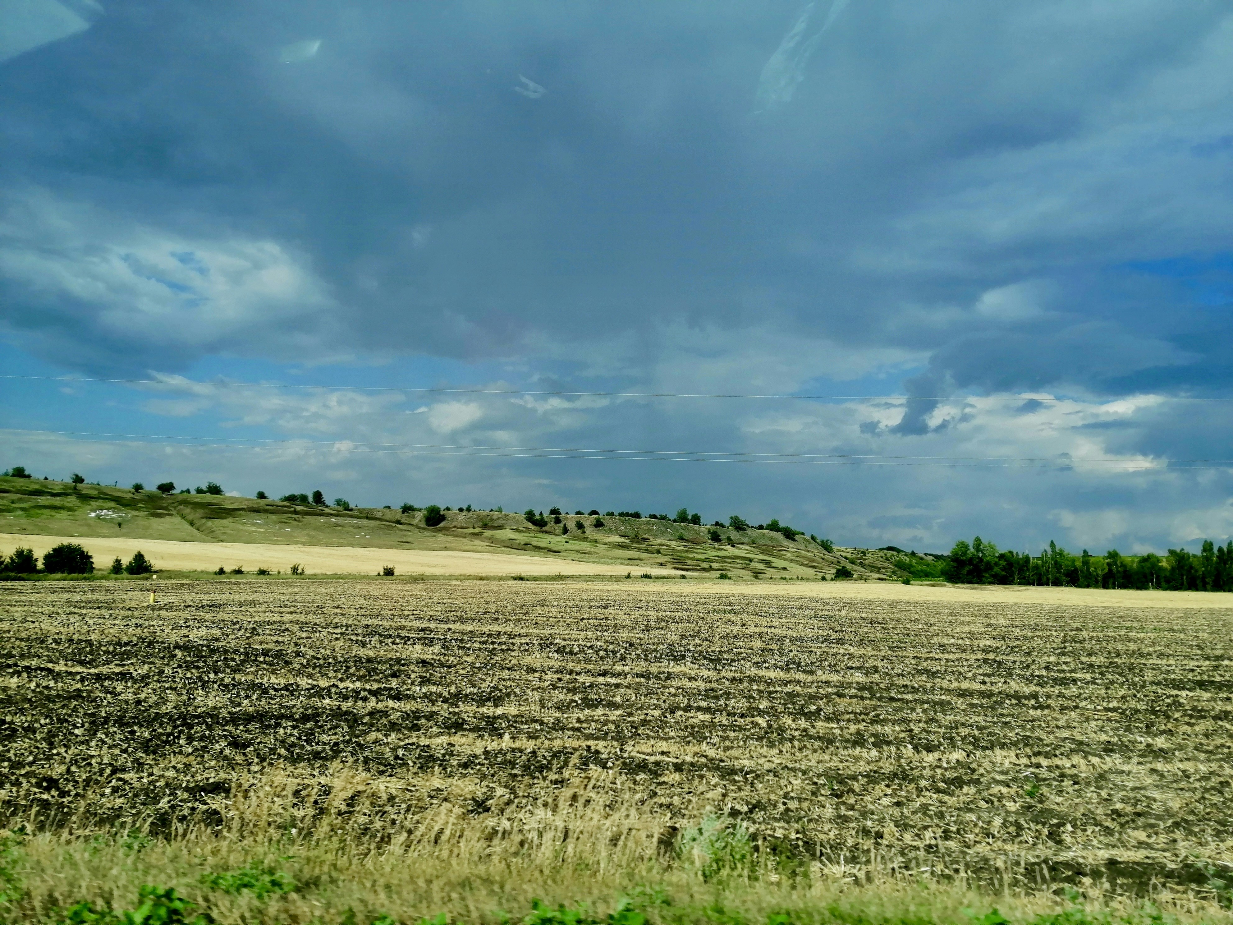 Photo by katrin_bloom