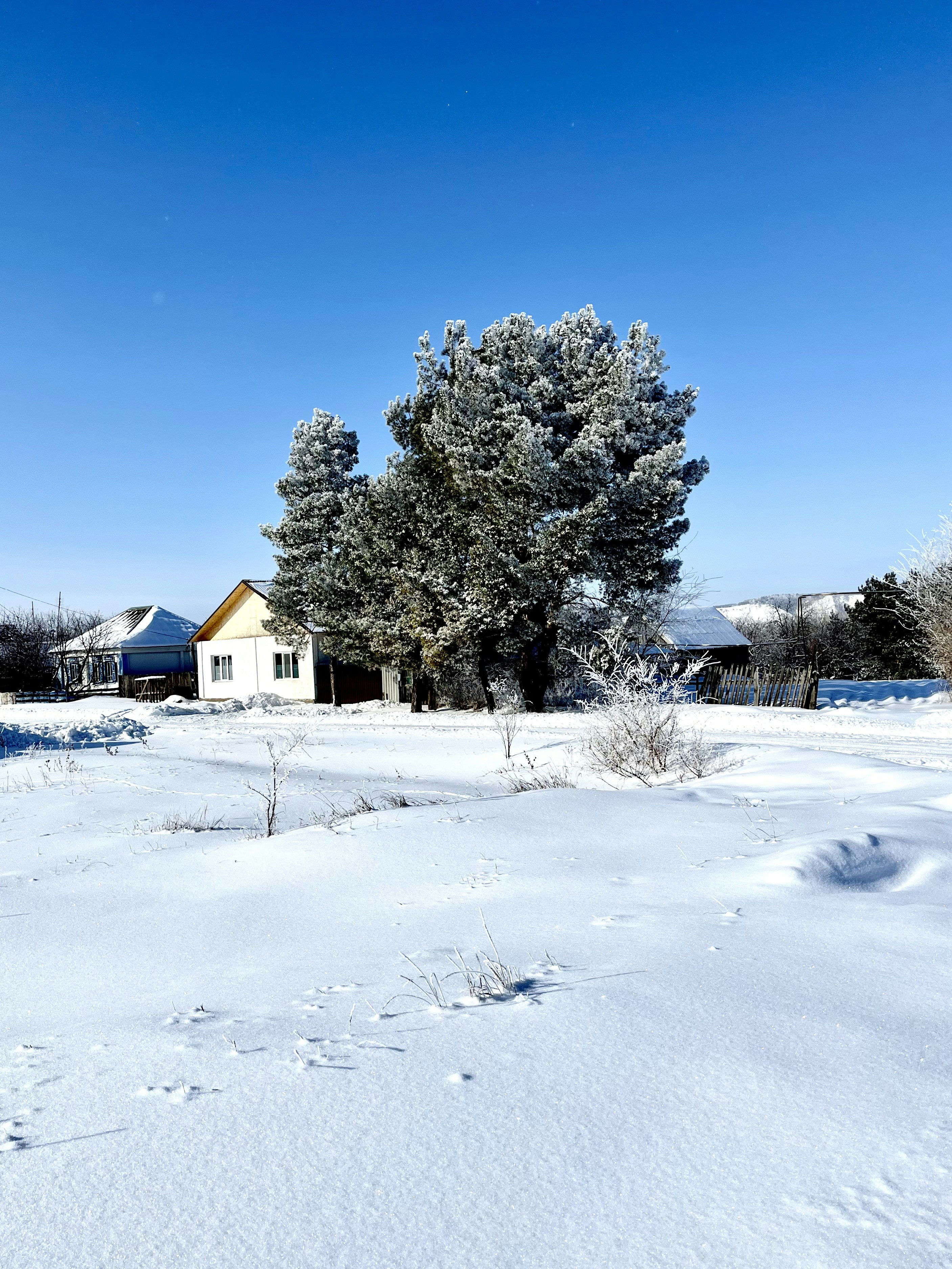 Photo by katrin_bloom