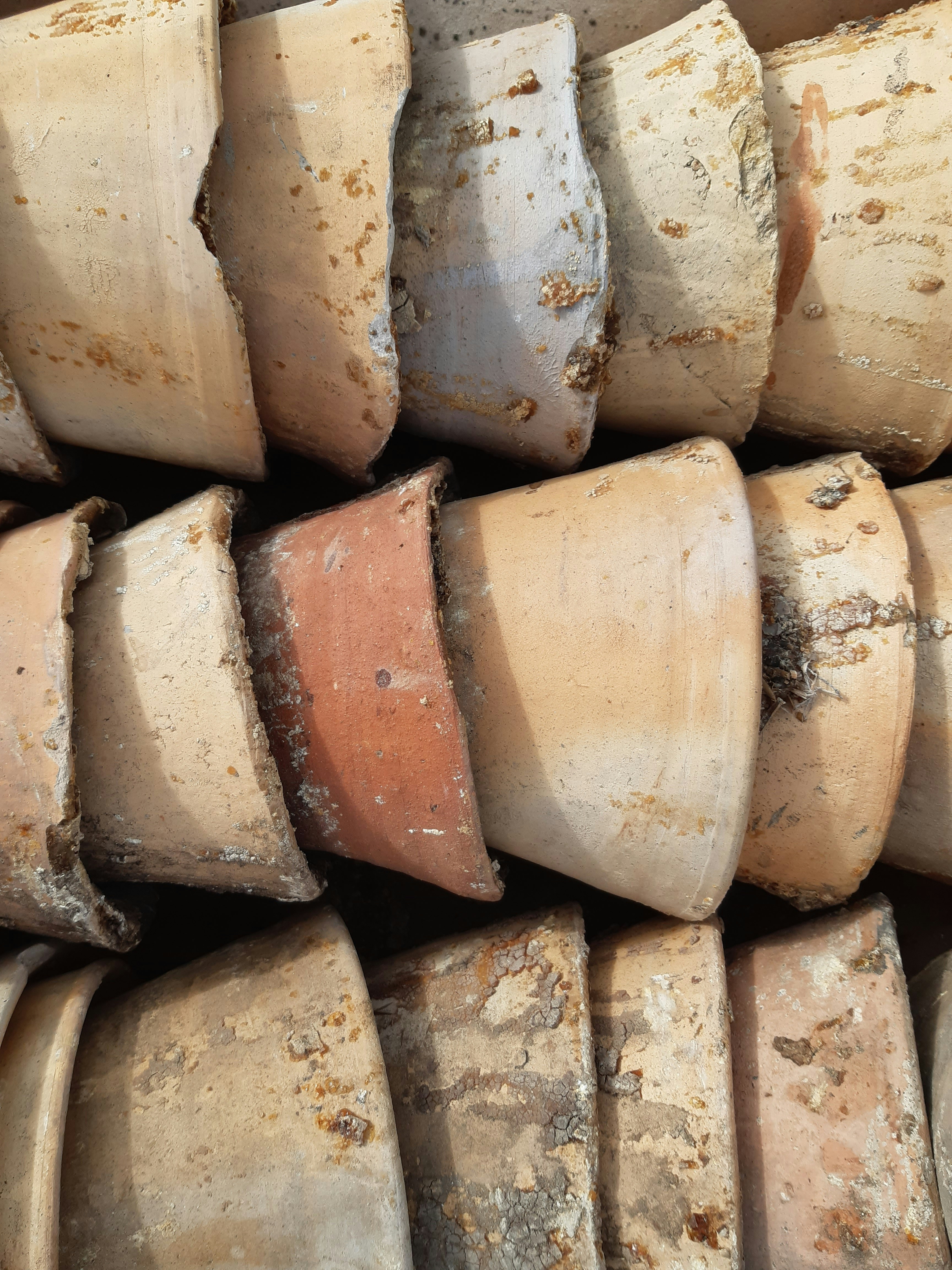 Photo by andycraddphotos