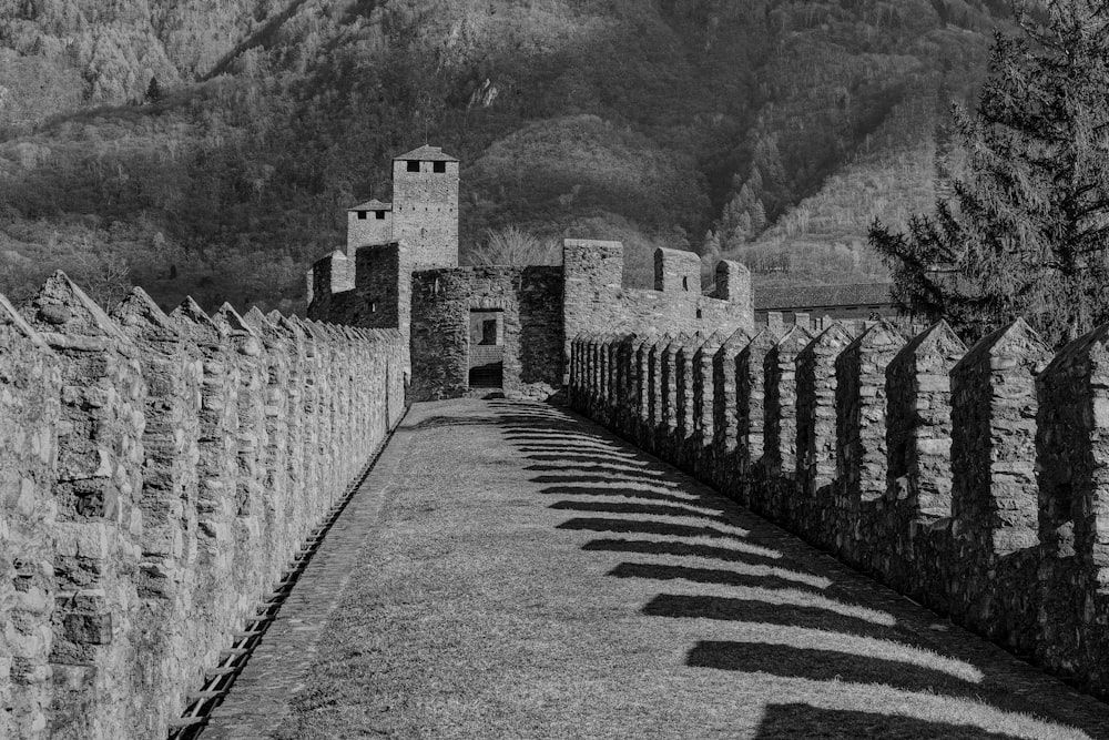 Una foto en blanco y negro de un antiguo castillo