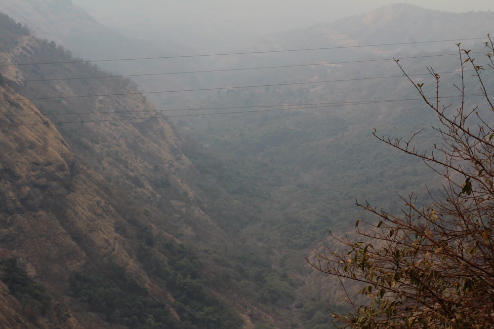 a view of a valley with mountains in the background