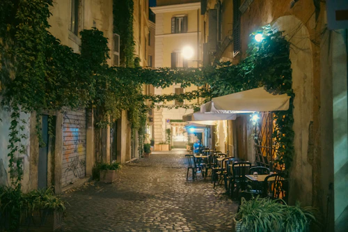 Small-Group City Highlights Moonlight Walking Tour