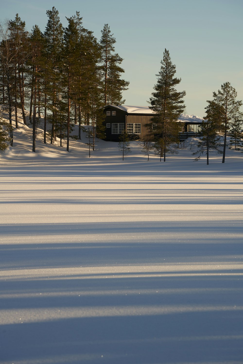 a snow covered field with a house in the background