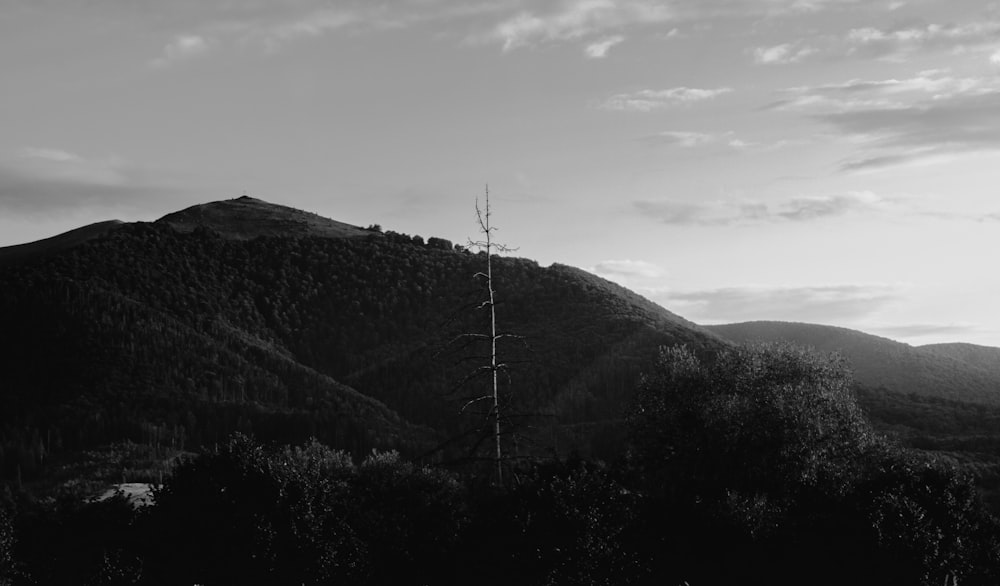 a black and white photo of a mountain