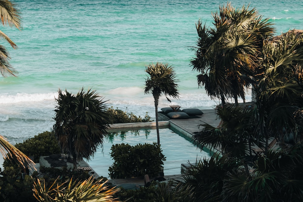 Una piscina rodeada de palmeras junto al océano