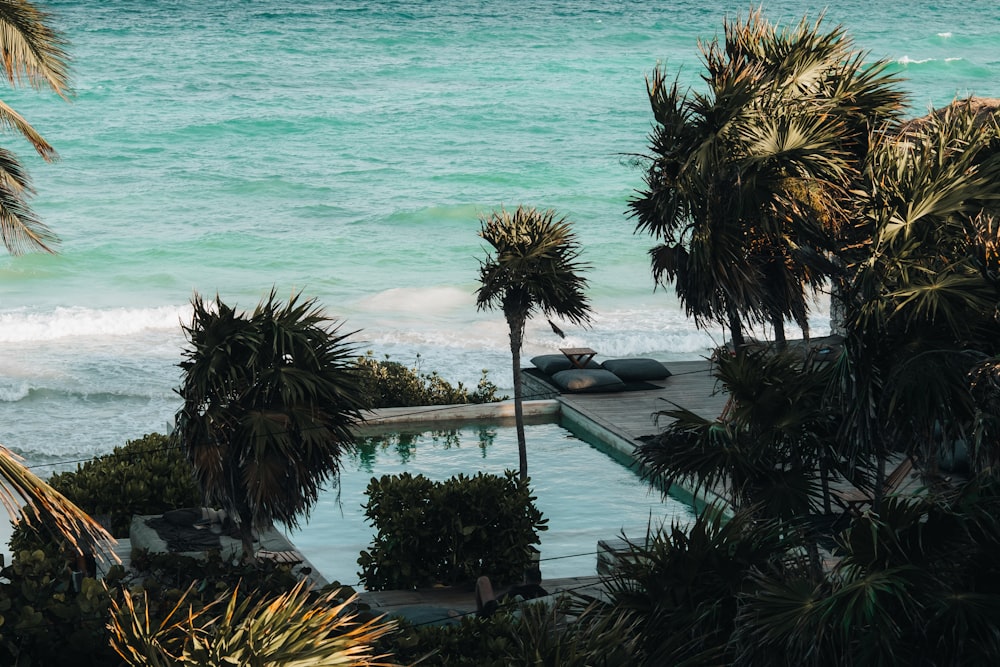 a pool surrounded by palm trees next to the ocean