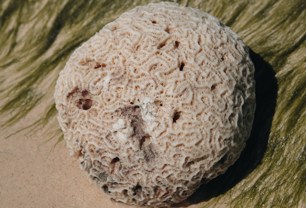 a large rock sitting on top of a green grass covered ground