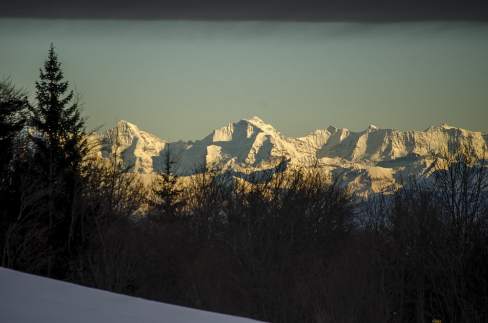 a view of a mountain range with trees in the foreground