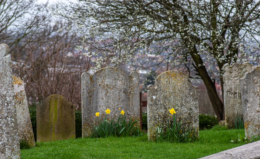 a cemetery with a bunch of headstones in the grass