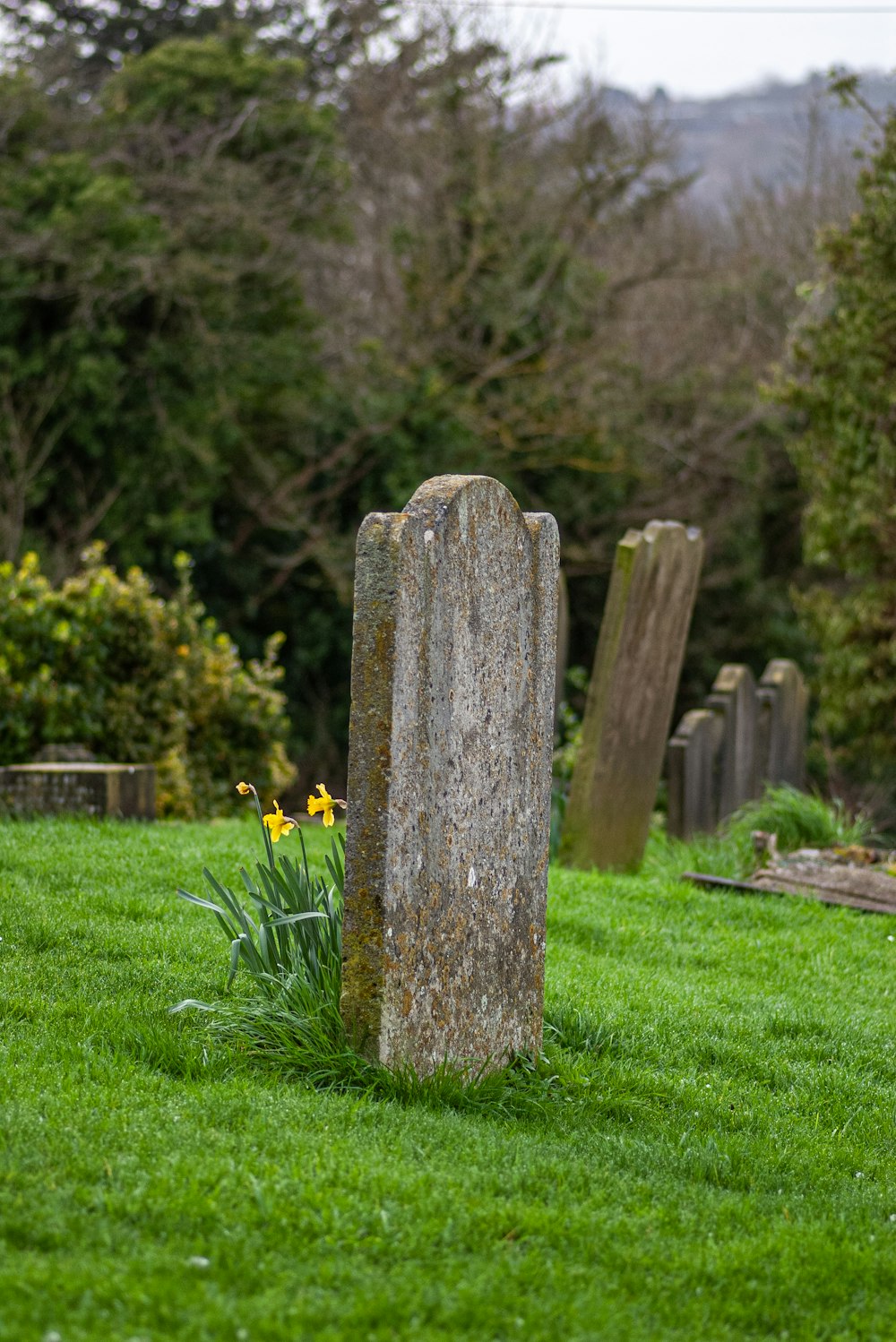 a grave in the middle of a grassy field