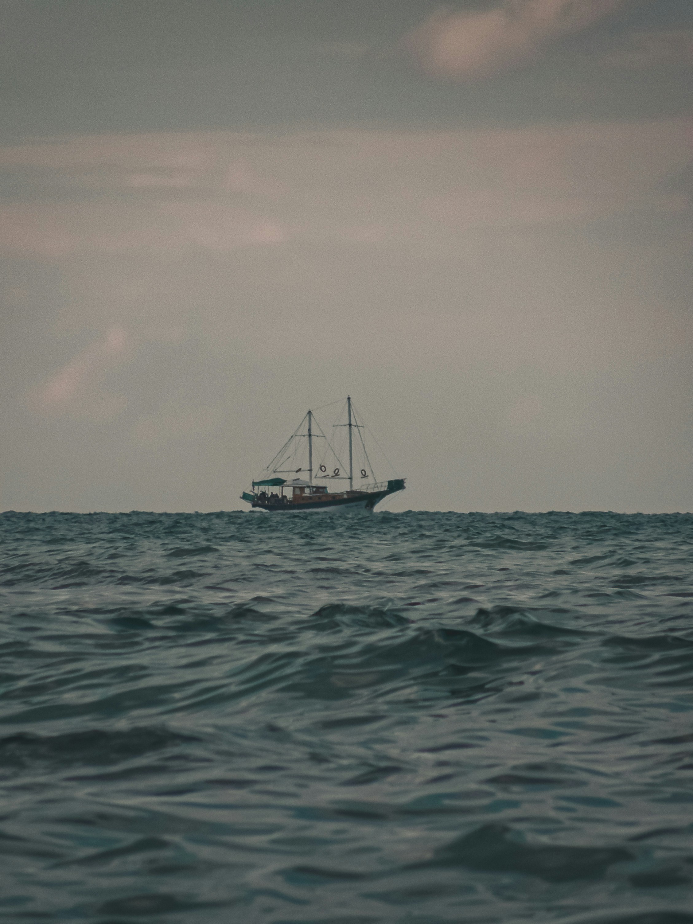 Photo by david_dintsh