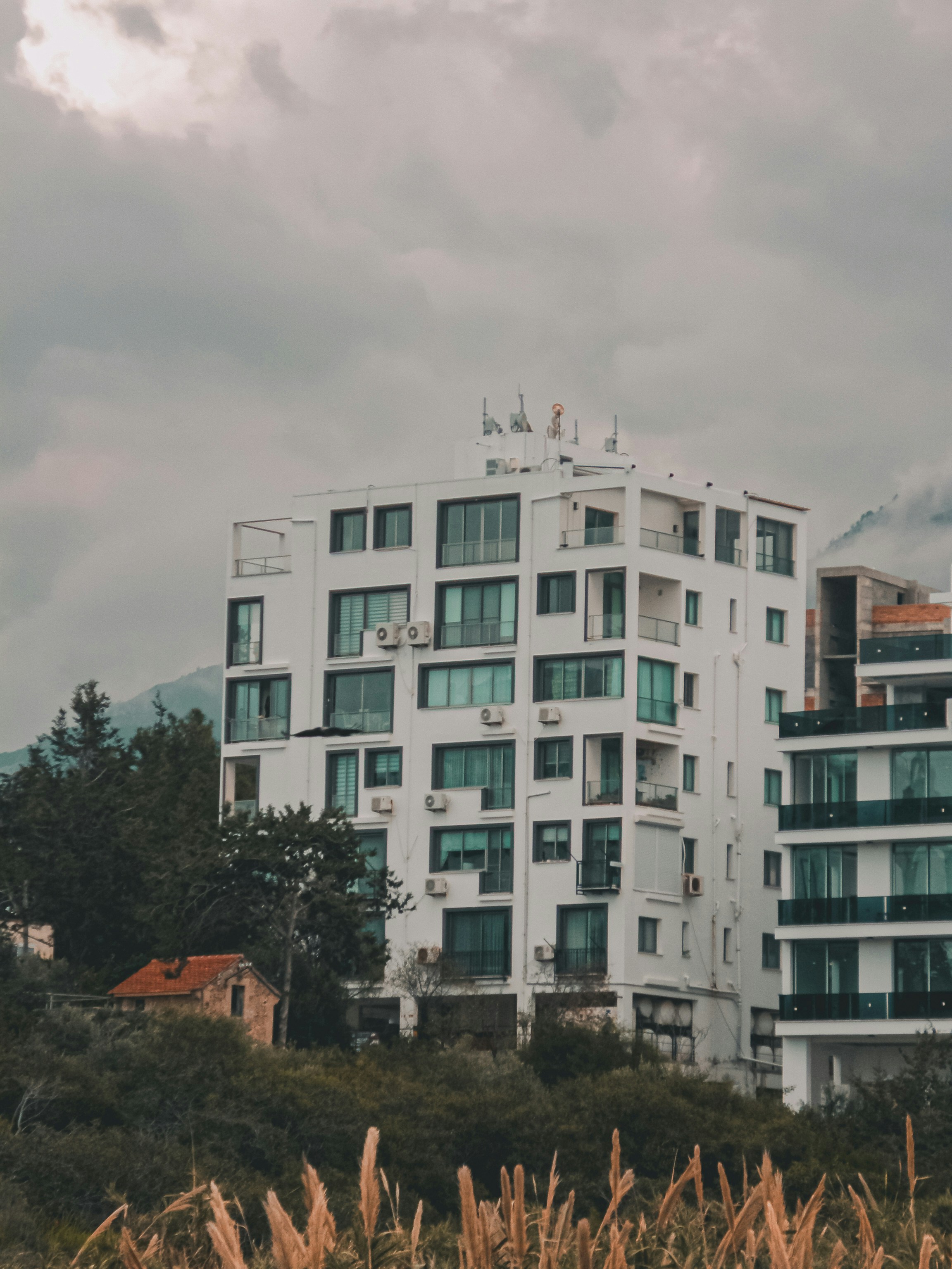 Photo by david_dintsh