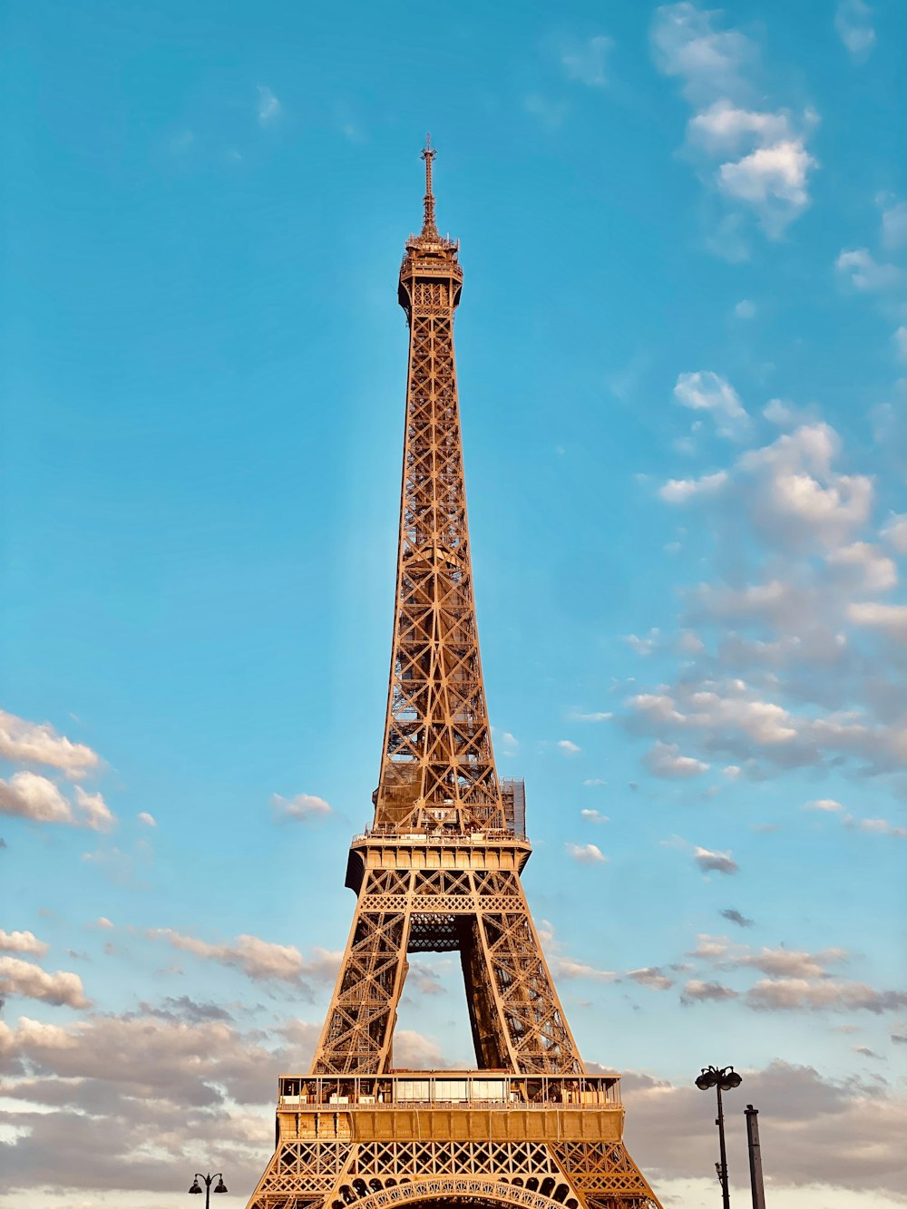 the eiffel tower towering over the city of paris