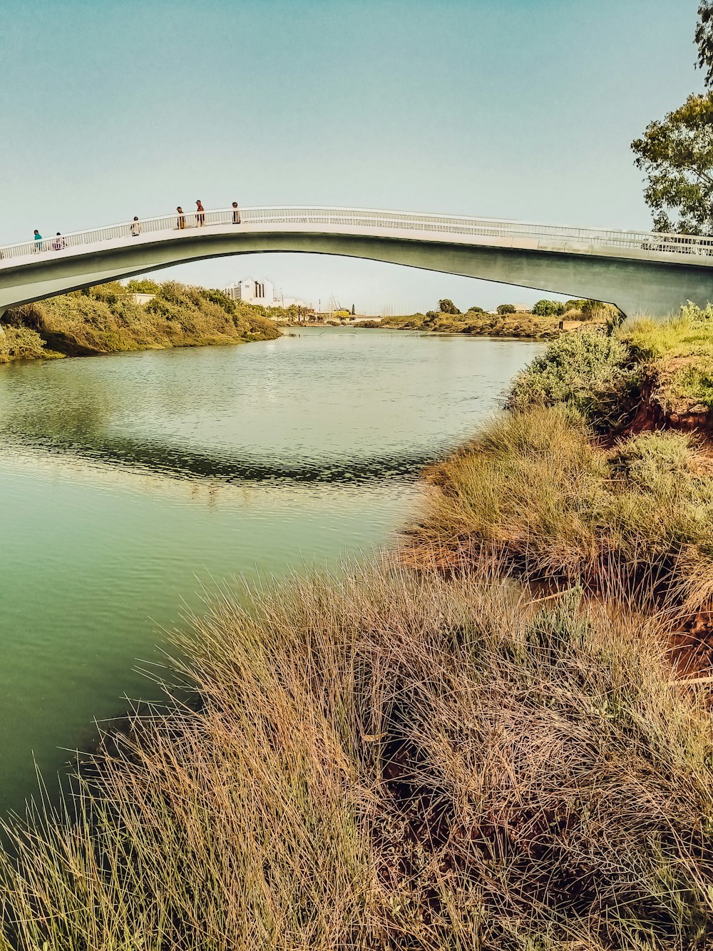 a bridge over a body of water with people walking on it