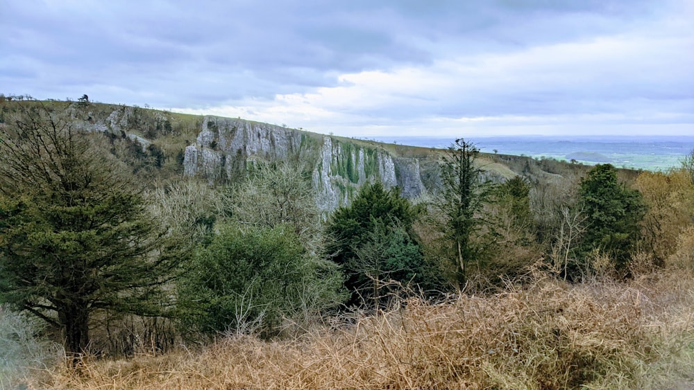 a view of a mountain with trees on the side of it