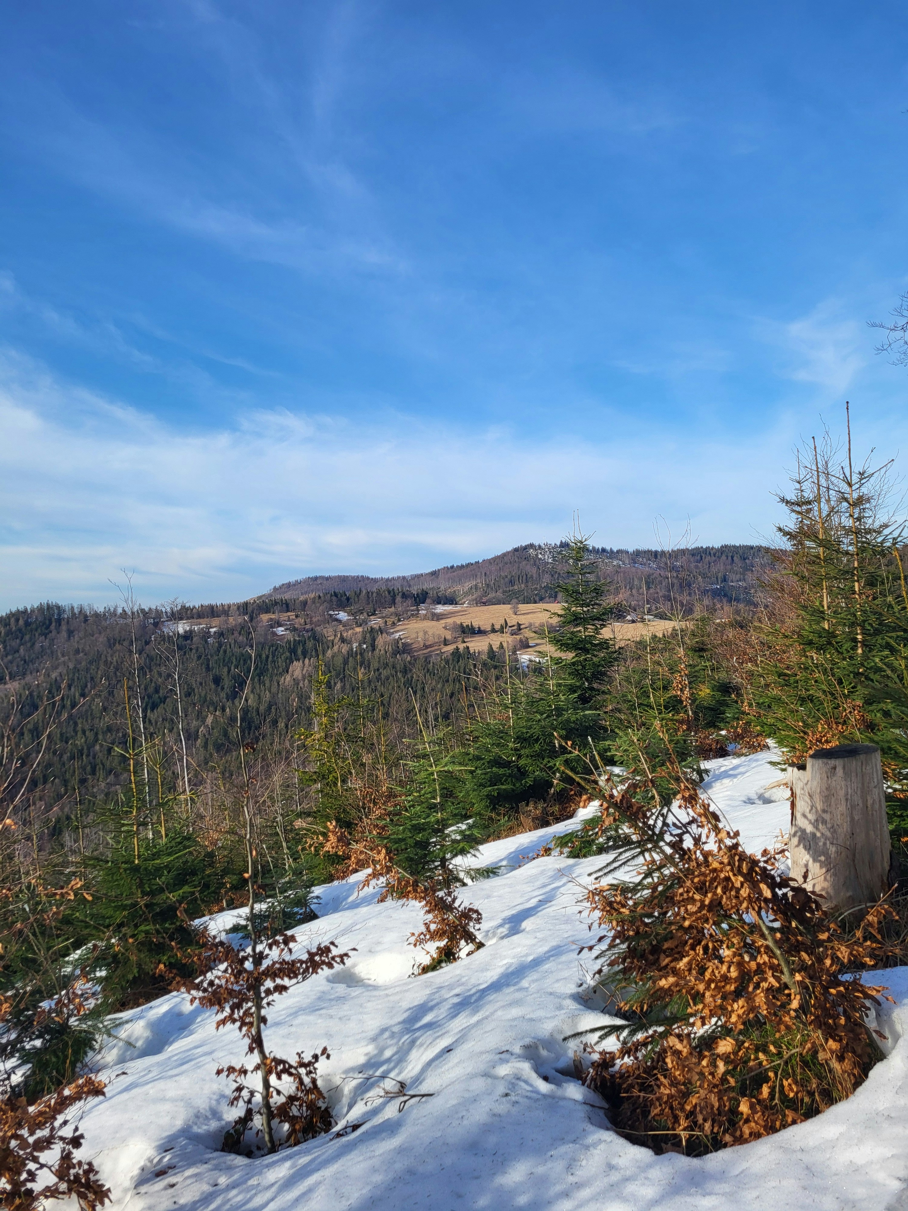 Photo by muzykalnepodroze