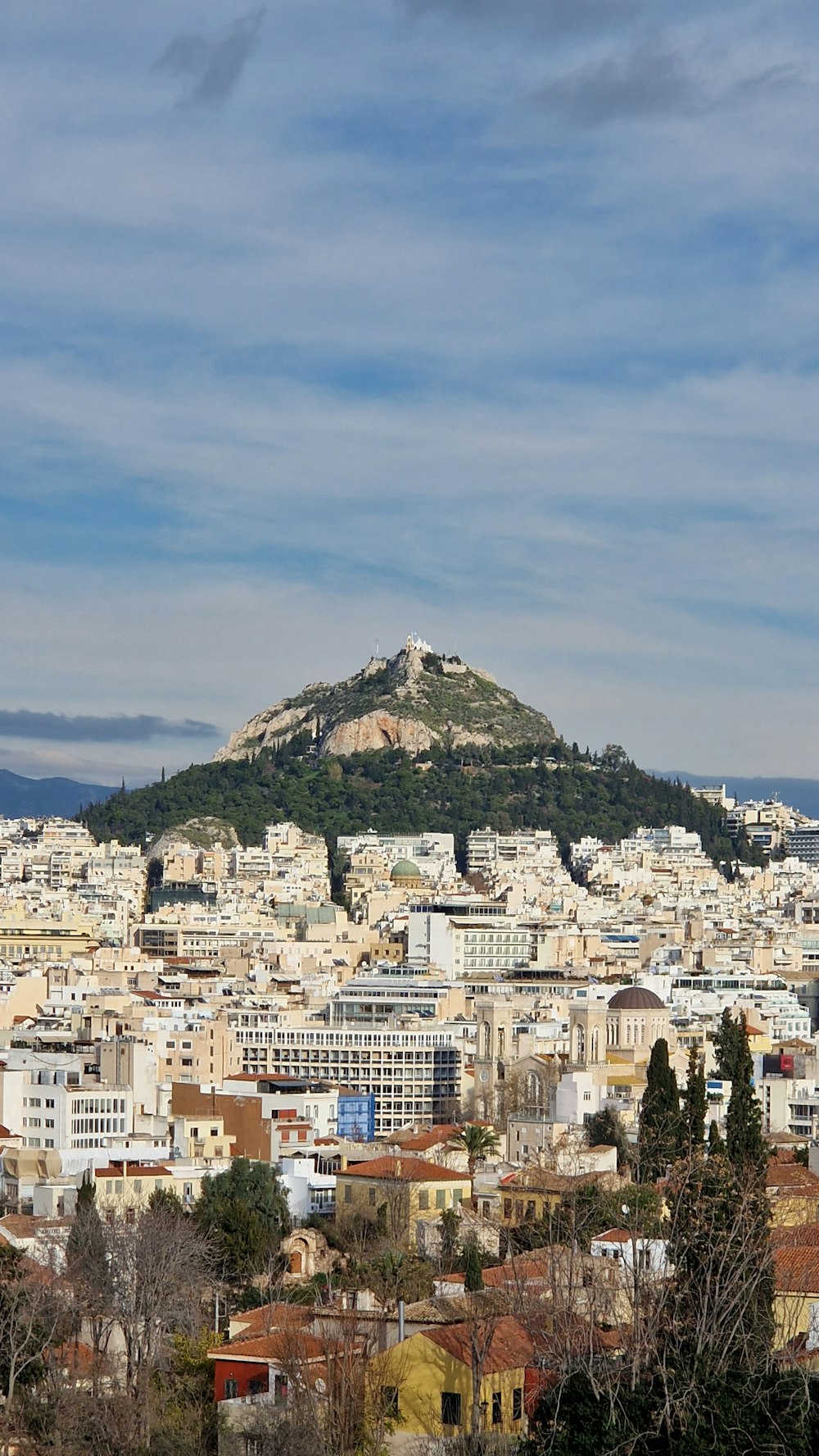 a view of a city with a mountain in the background