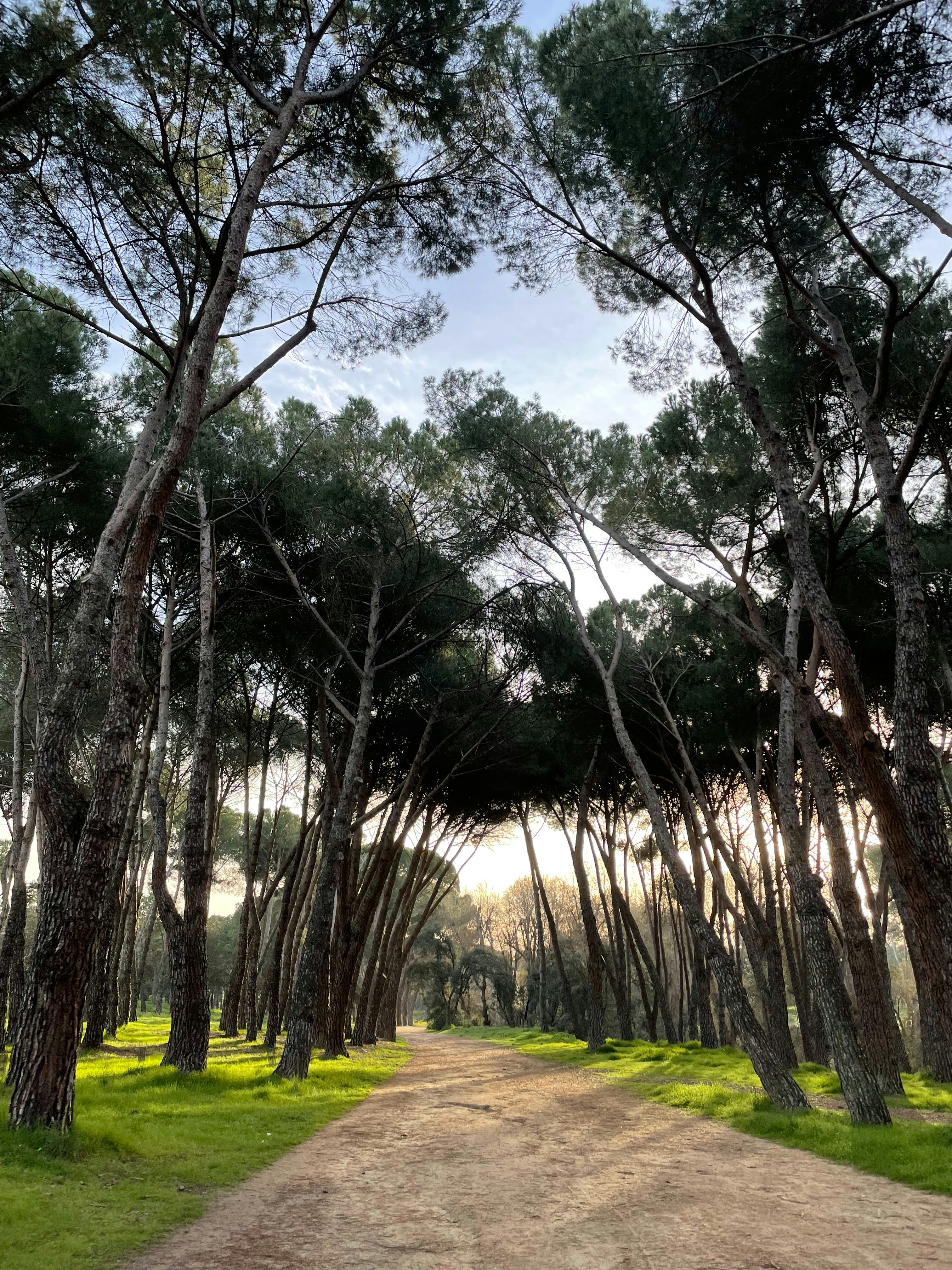 Photo by agoraabierta